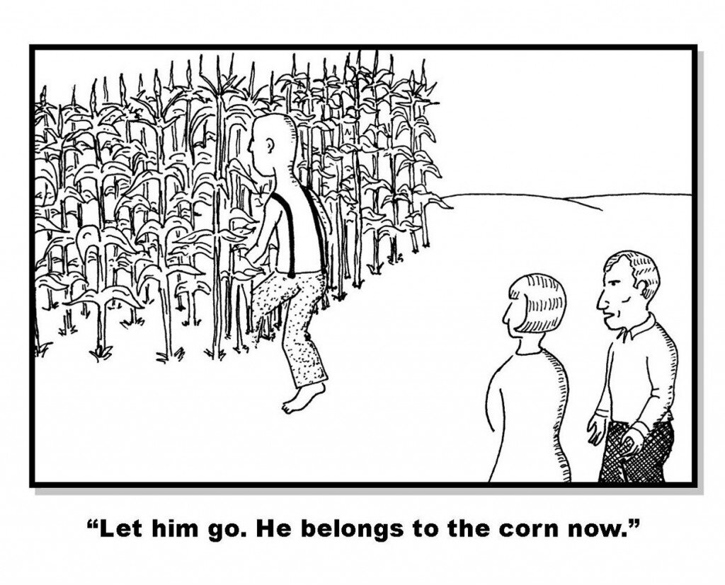 corn-1024x827.jpeg