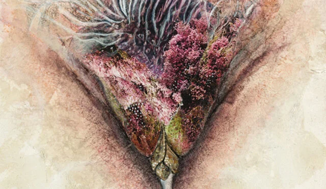 Artist Feature: Jacqueline Secor