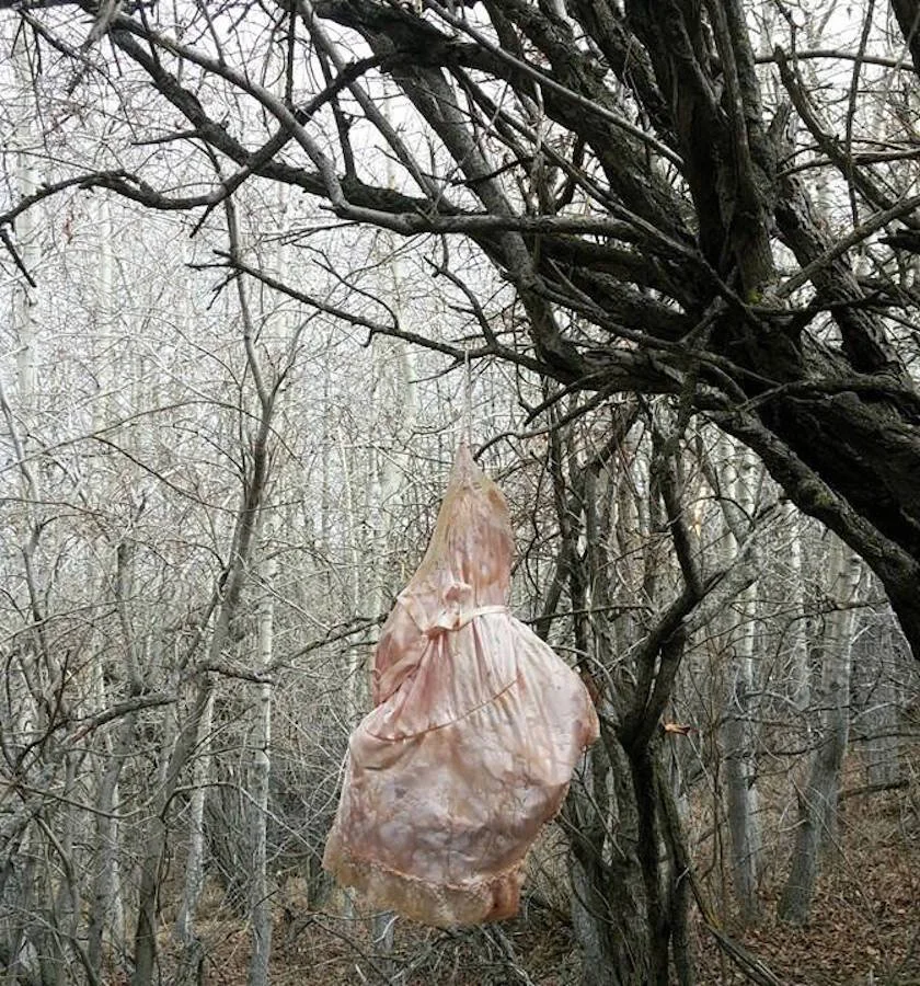 Preservation (In The Woods)