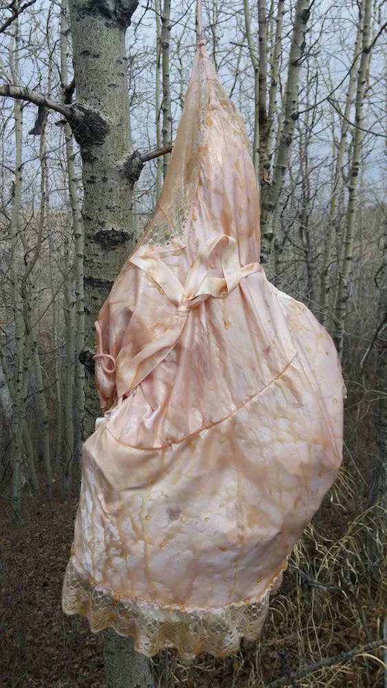 Preservation (In The Woods)