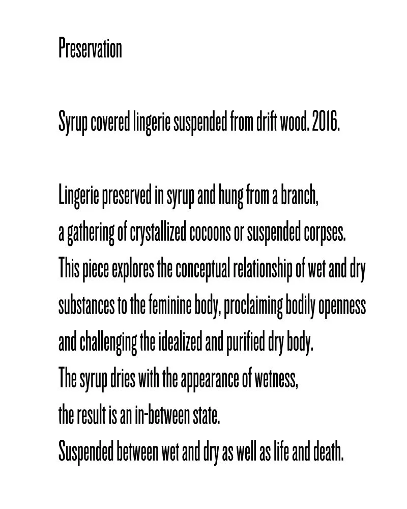 Preservation (text)