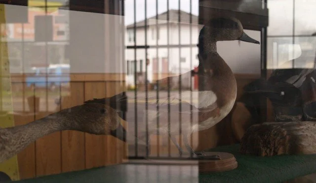 Fiction by Brian Tibbetts