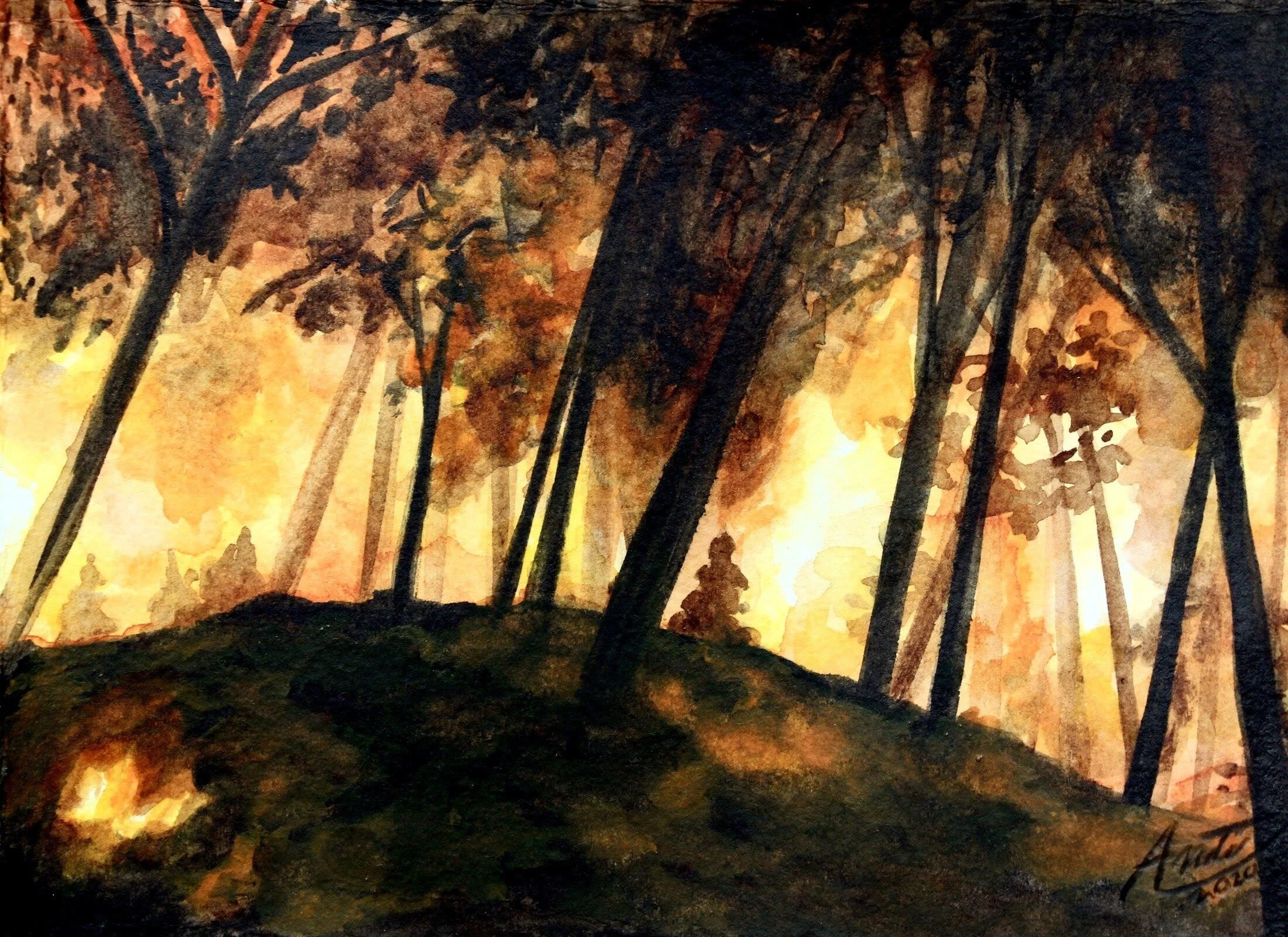  Fire and Rain  $50  4” x 6” 