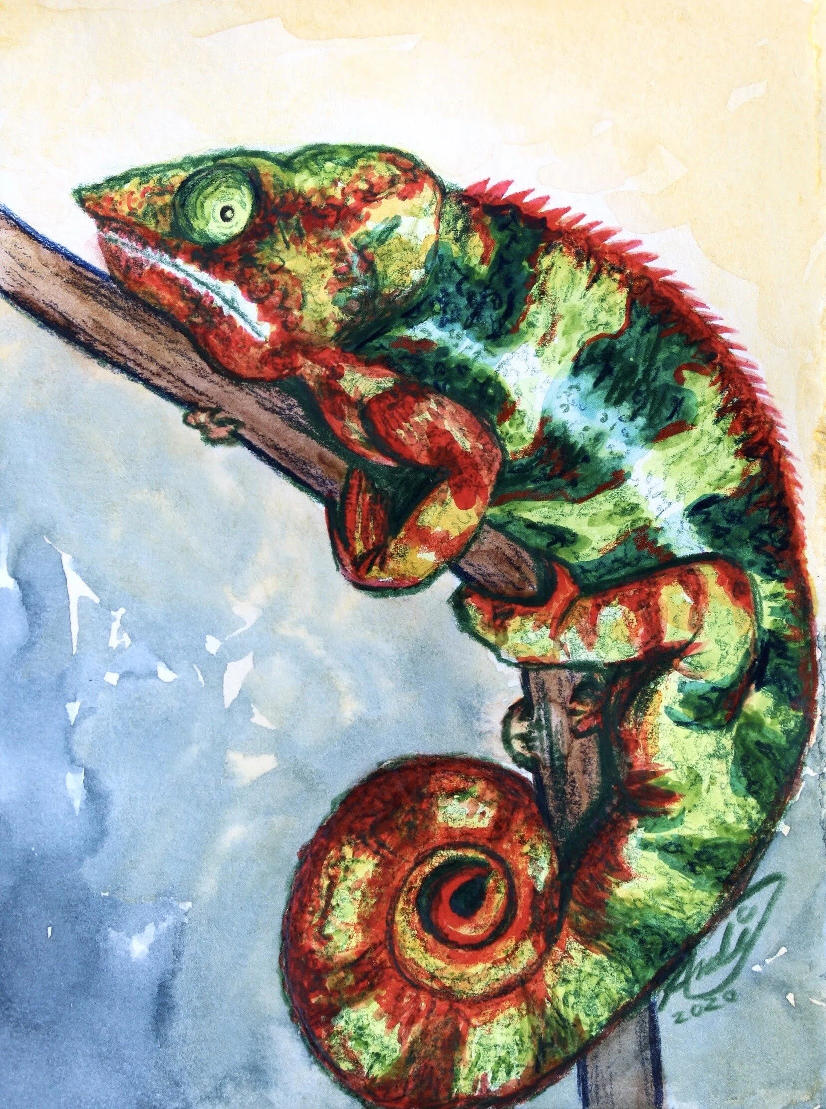  Chameleon  $50  4” x 6” 