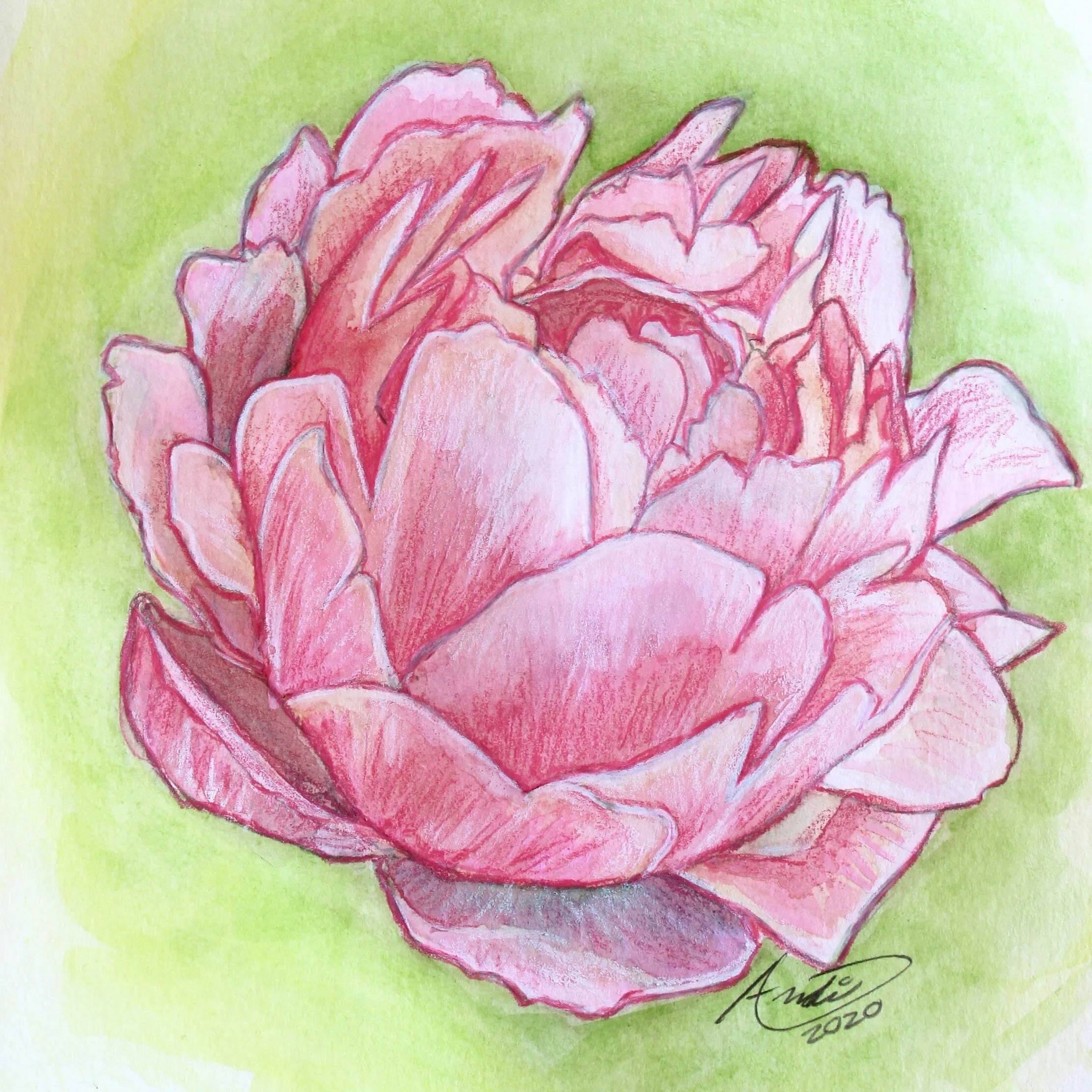  Peony  $45  9” x 6” 