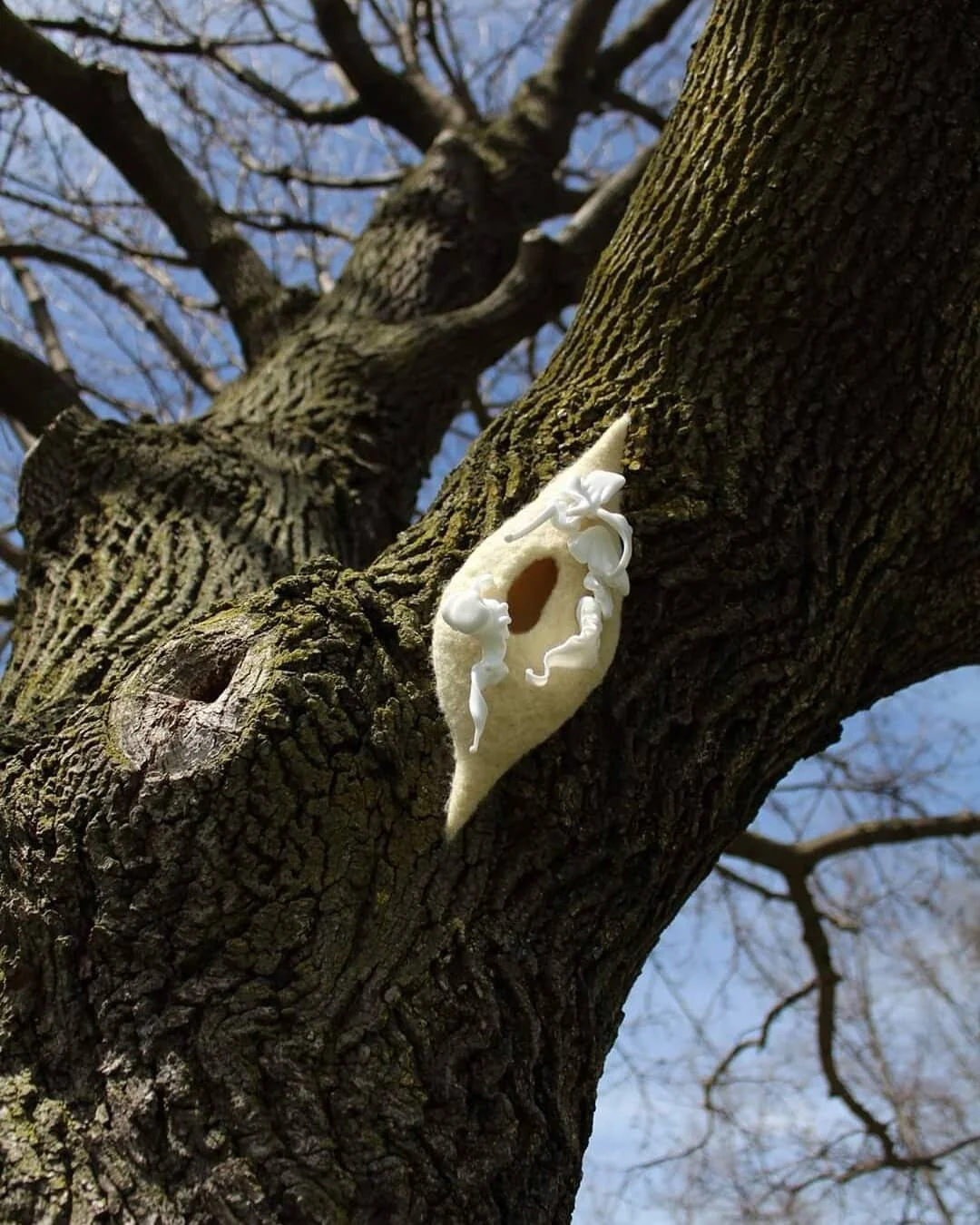  Metamorphosis 