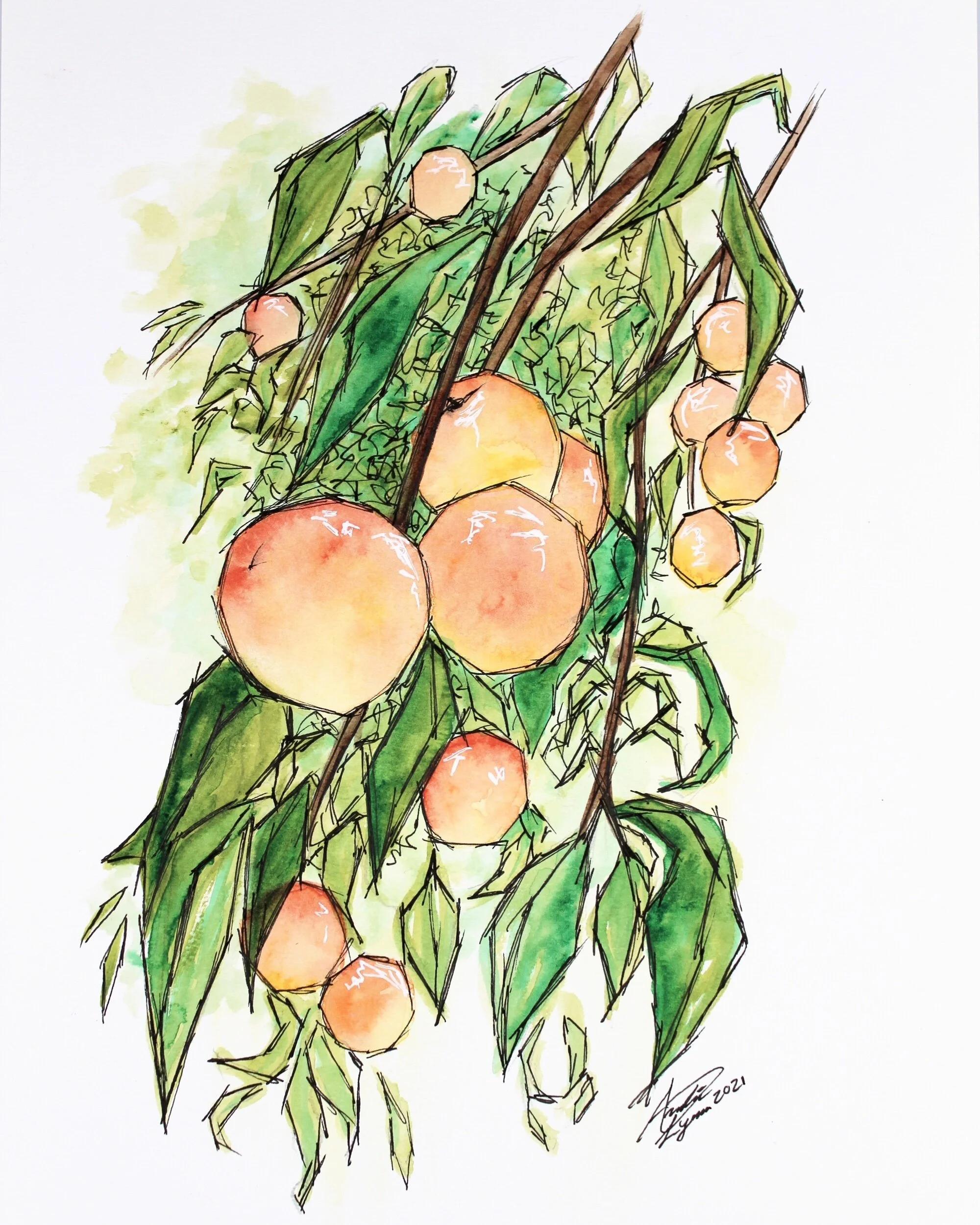  Apricot Tree  $55  9”x12” 