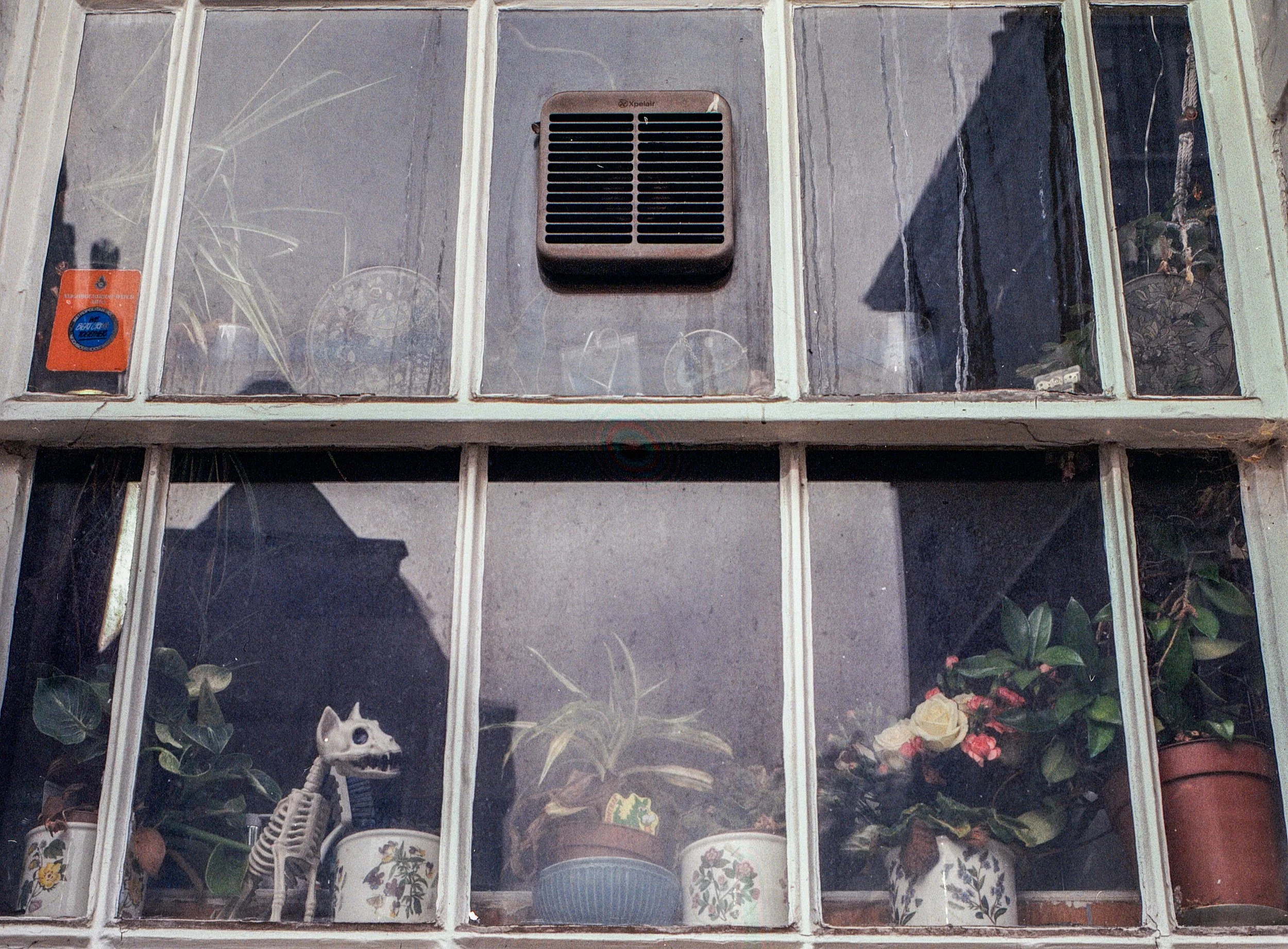 Antoine_Film_84-2.jpg