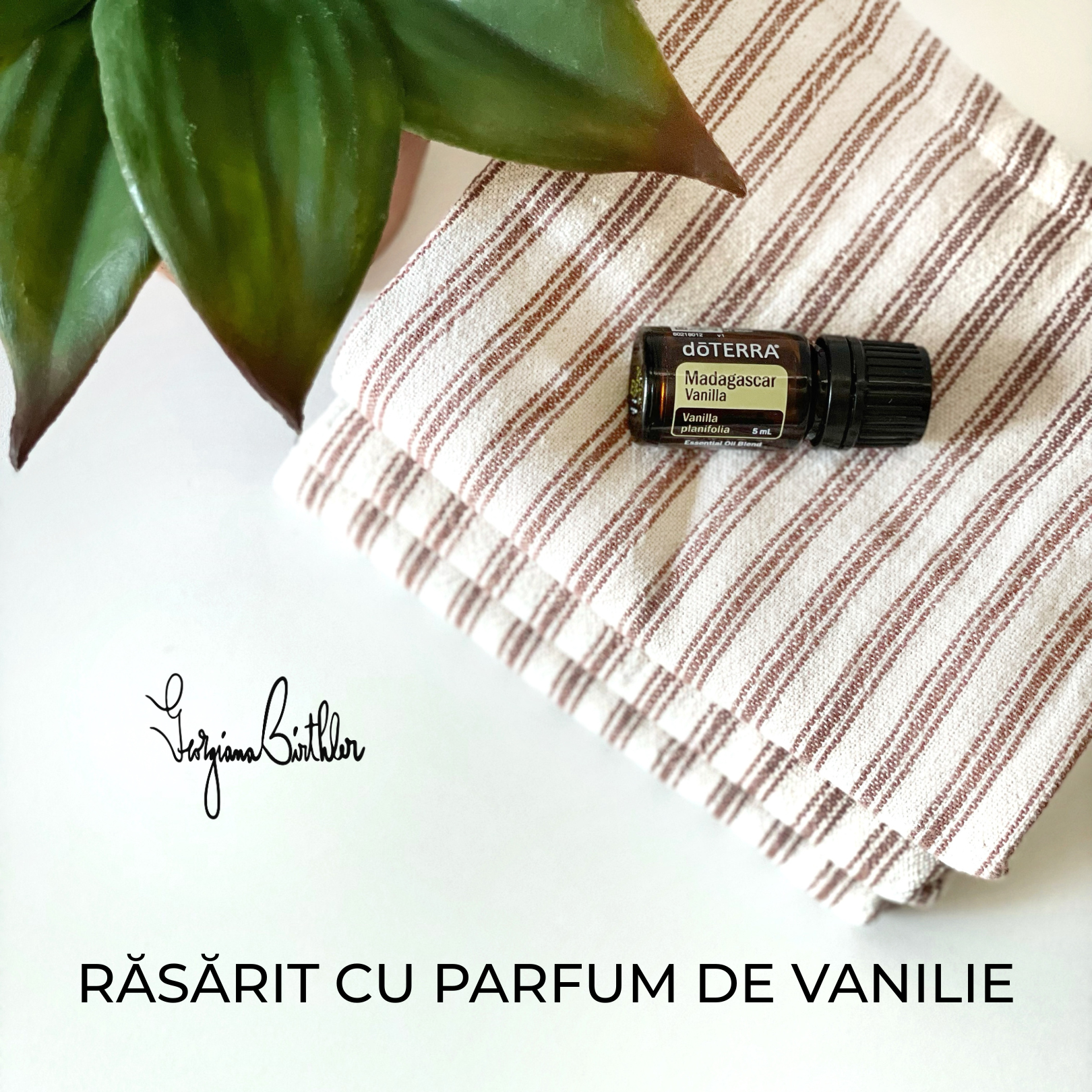 RĂSĂRIT CU PARFUM DE VANILIE