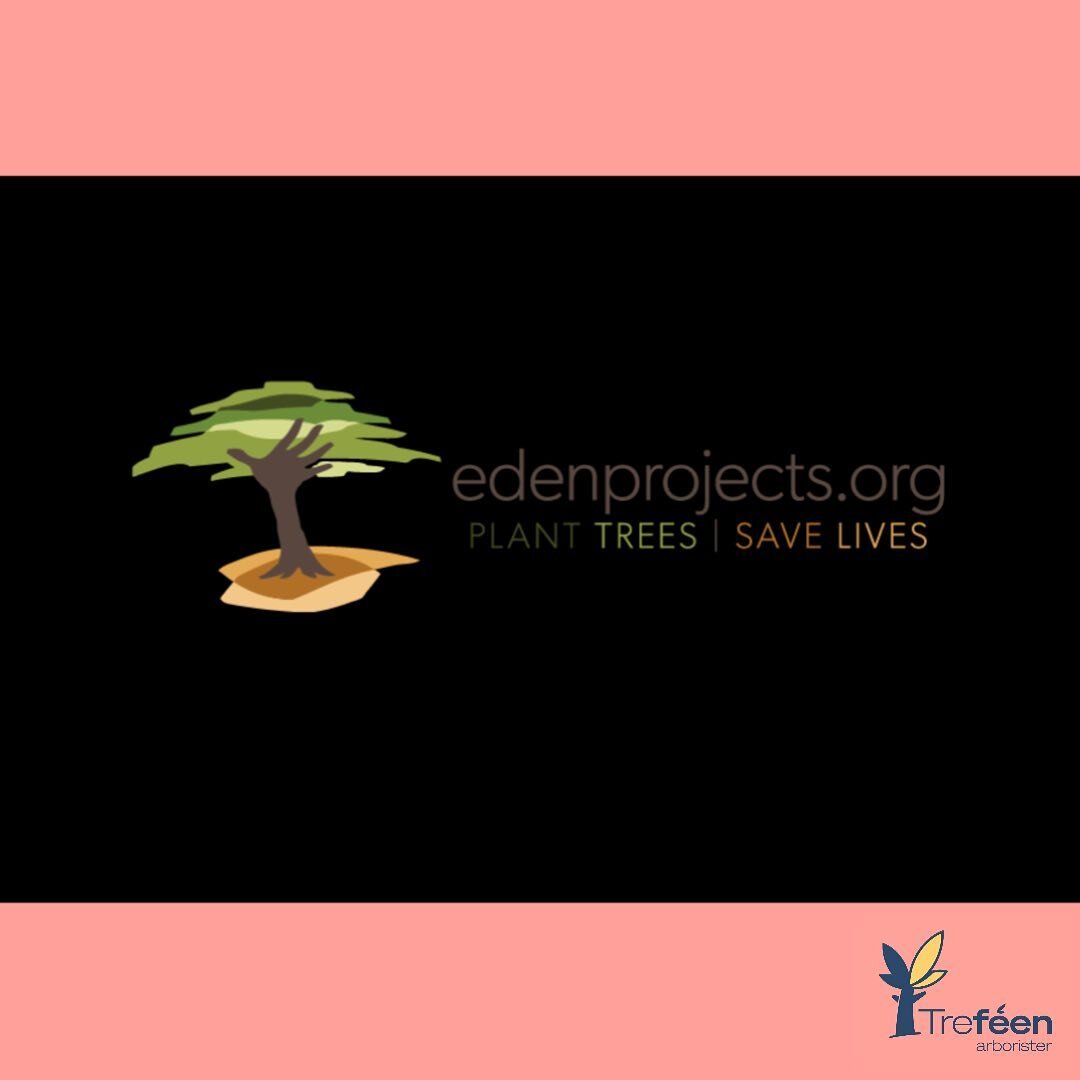 Excited to announce that Tref&eacute;en has partnered with @edenprojects. These guys are a tree planting charity, planting trees where they are most needed. Eden Reforestation Projects aim to restore forests as well as hire and train local villagers 