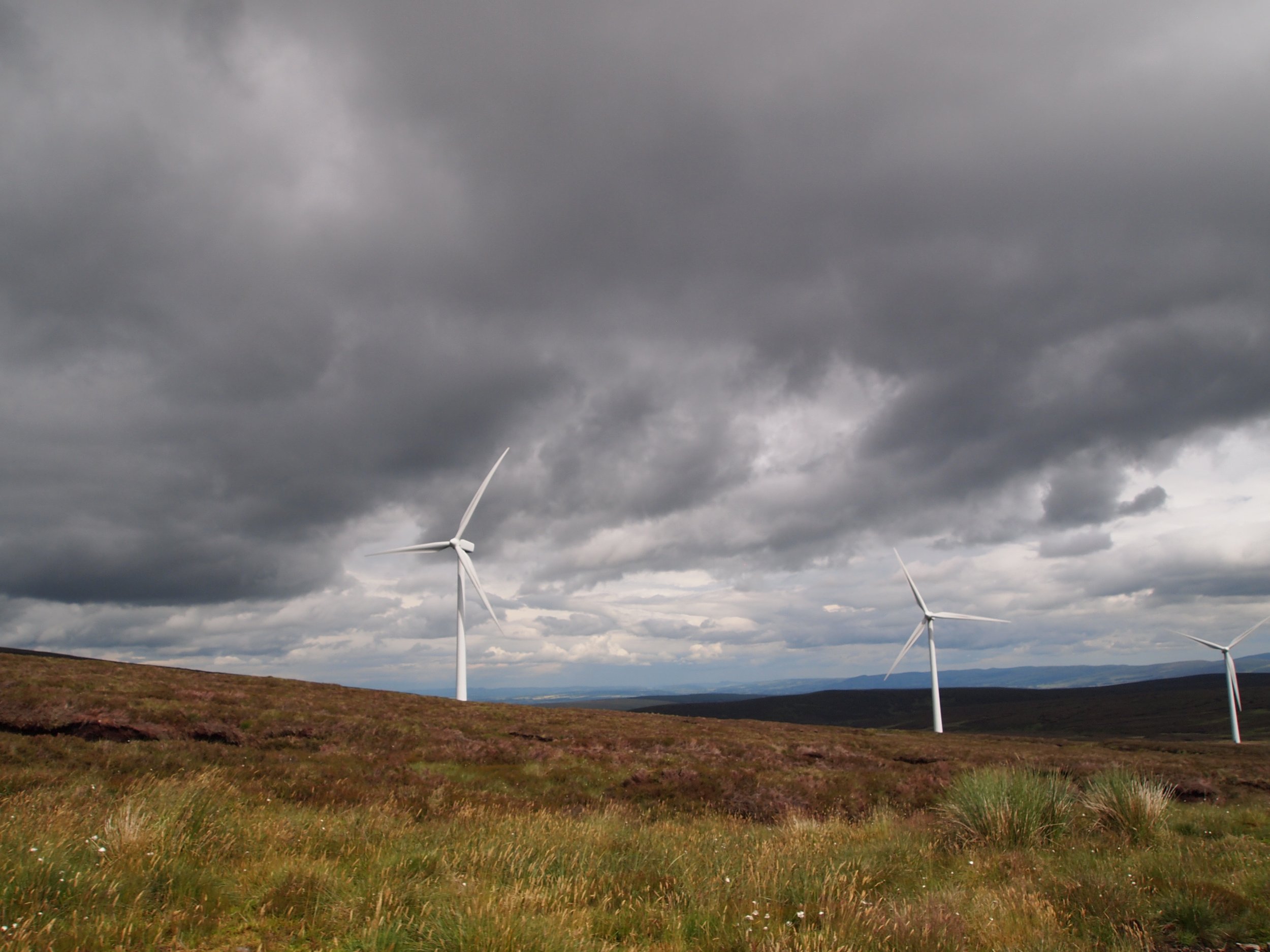 Public Exhibition and Consultation: 10 November 2021