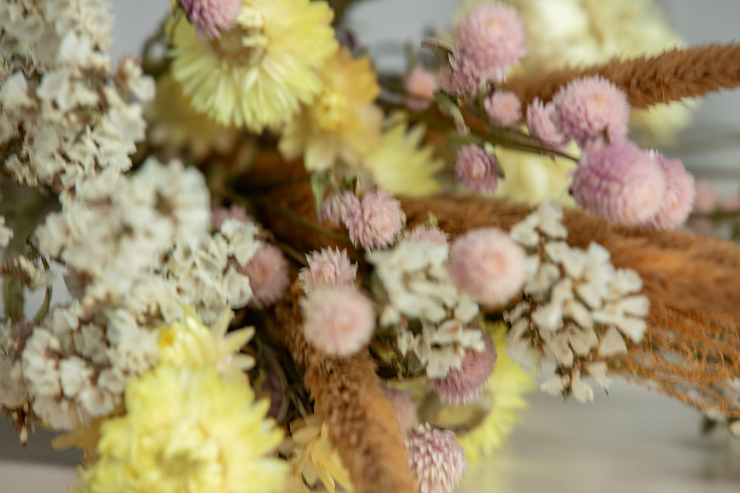 Paul_Brooke_Jr_@PBJIMAGES-2555 2.JPG