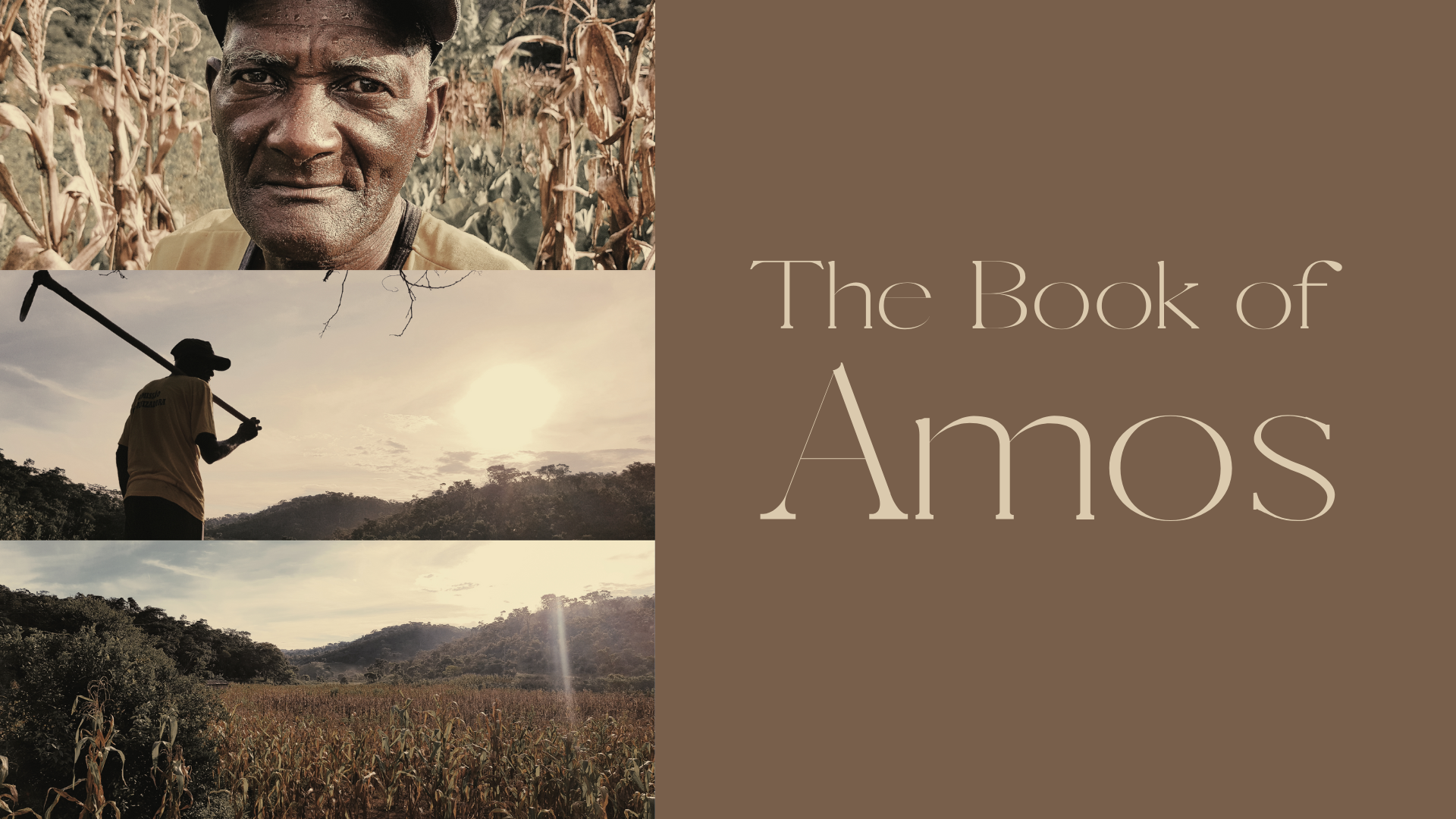 The Book of Amos