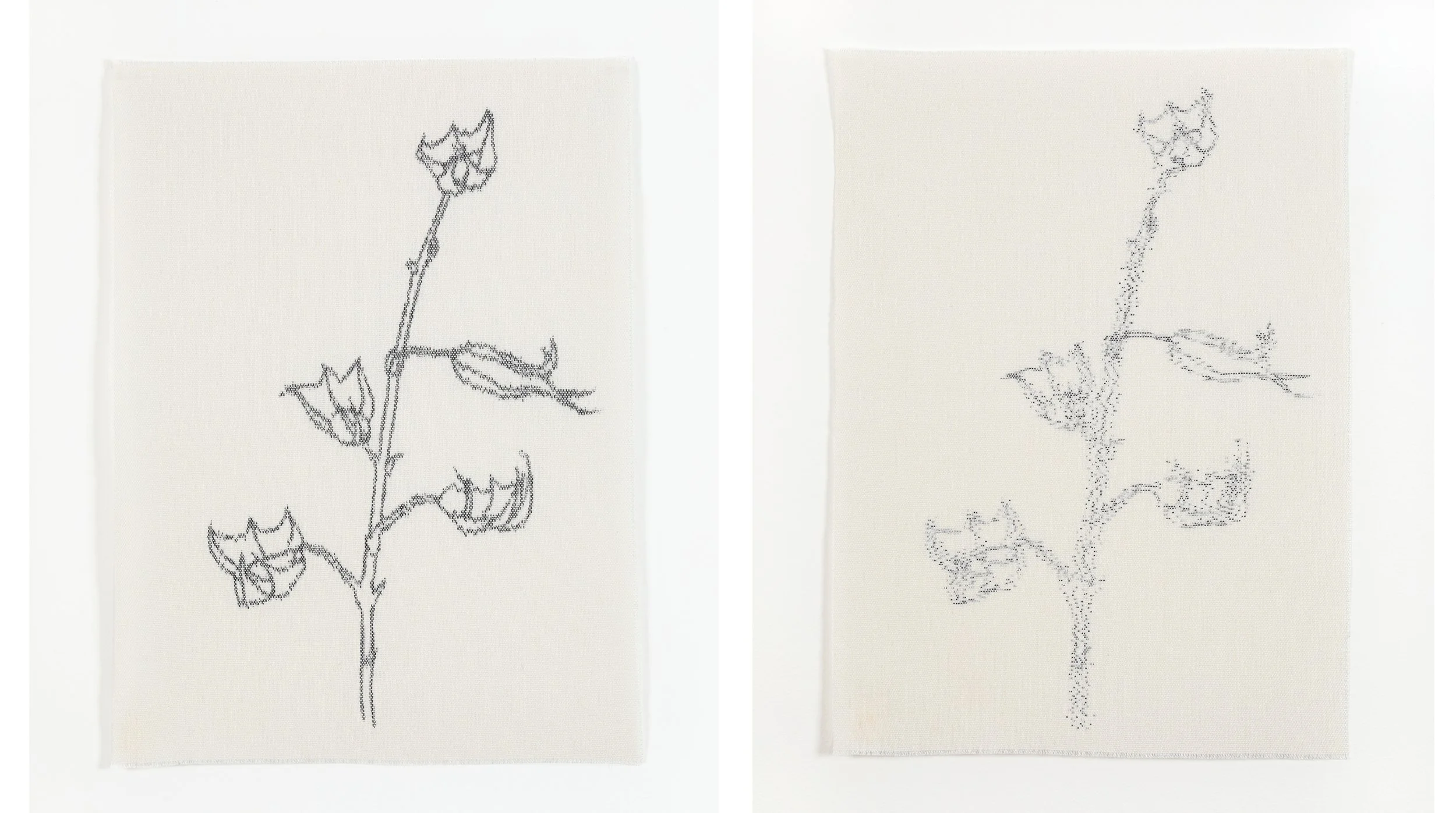 Treasure #3, Warp and Weft