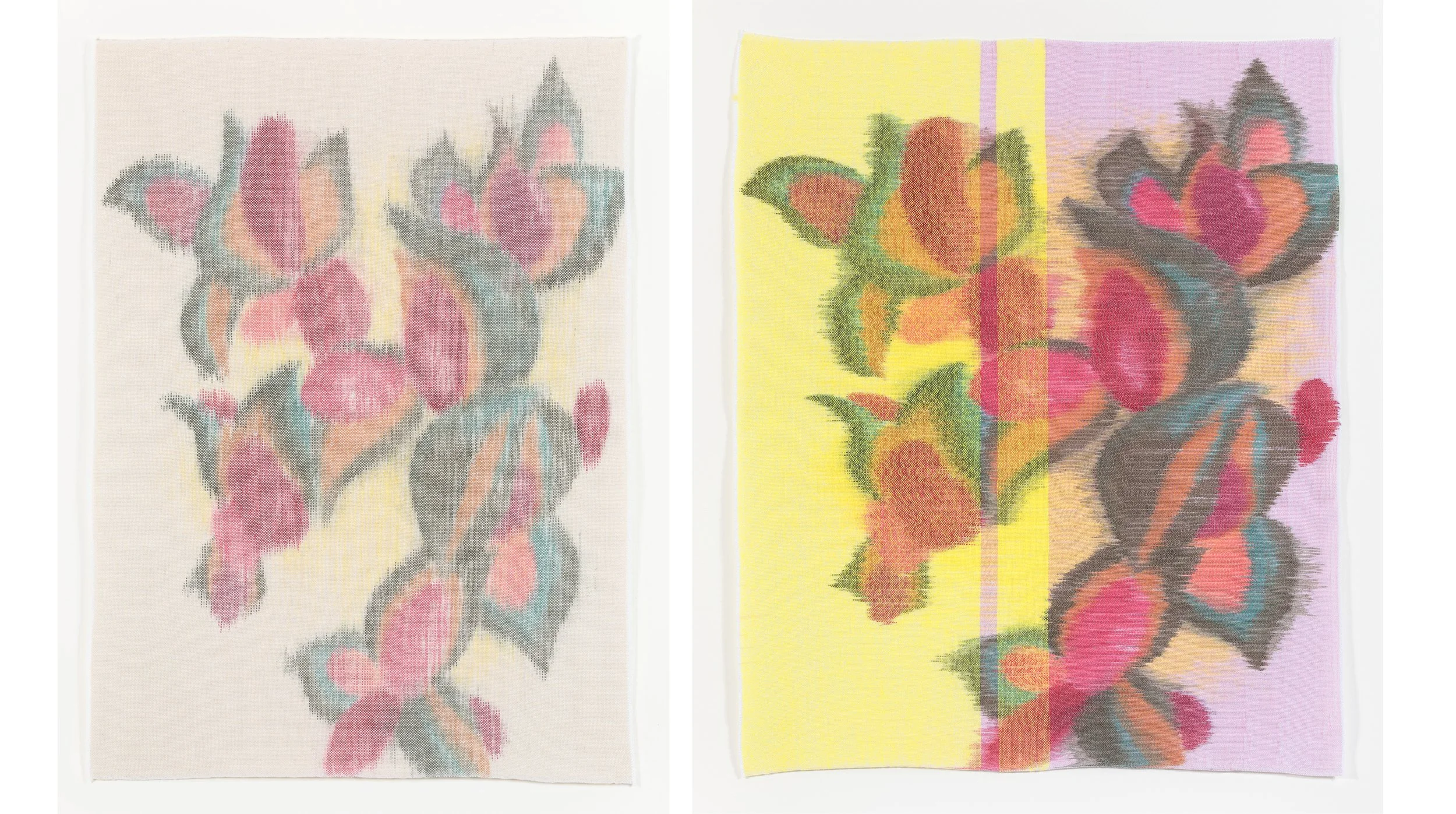 Magnolia Seeds #1 and #2