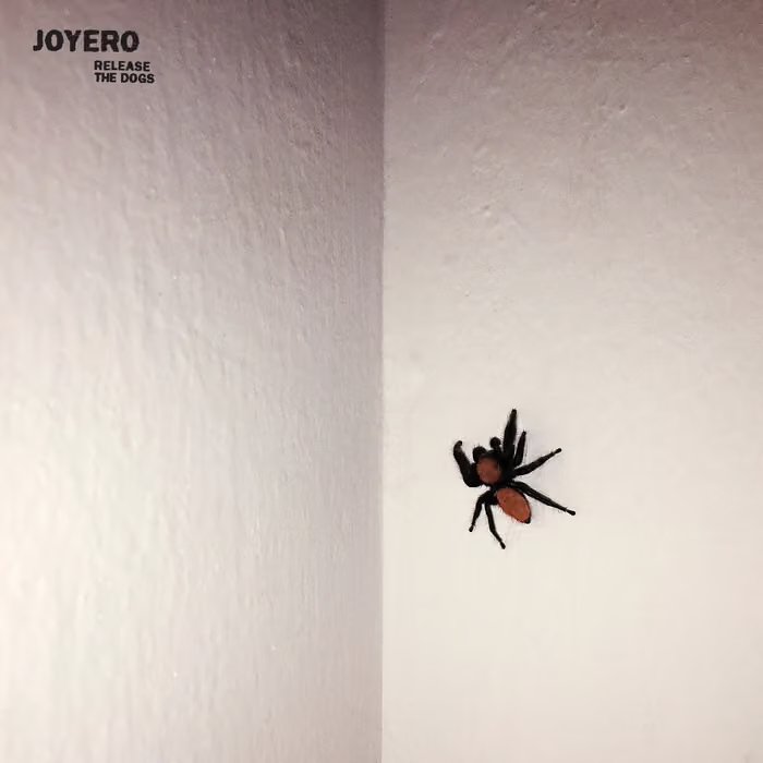 JOYERO - “RELEASE THE DOGS” - DRUMS, DRUM PROGRAMMING, GUITAR, VOCALS, BASS GUITAR, SYNTHESIZER, SAXOPHONE, PRODUCER, ENGINEER, MIX