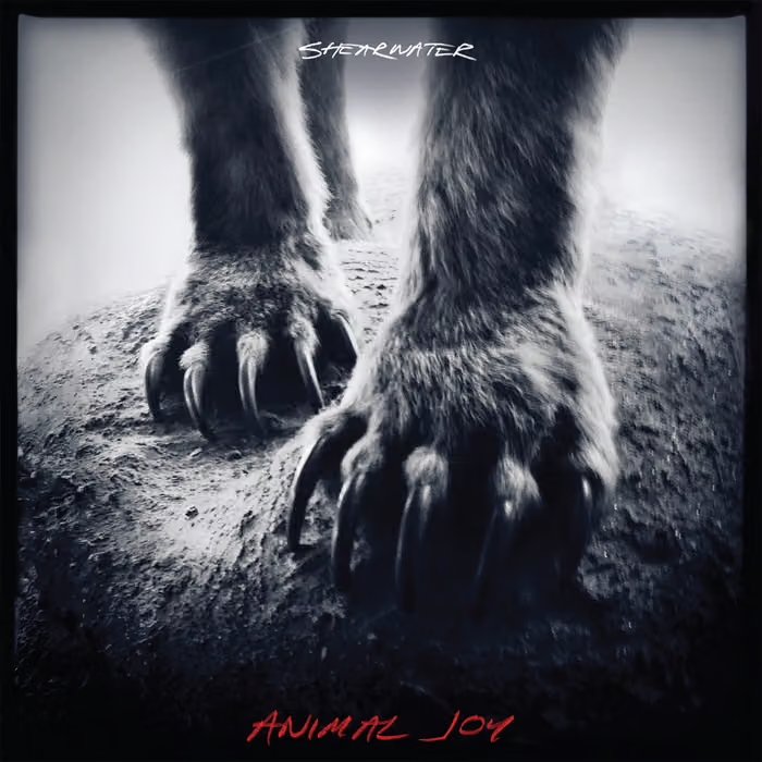 SHEARWATER - “ANIMAL JOY” - ELECTRIC GUITAR, KEYBOARDS, SAXOPHONE