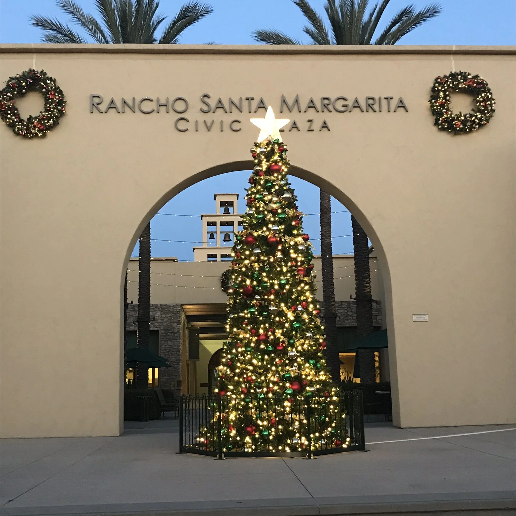 C Tree with wreaths.jpg