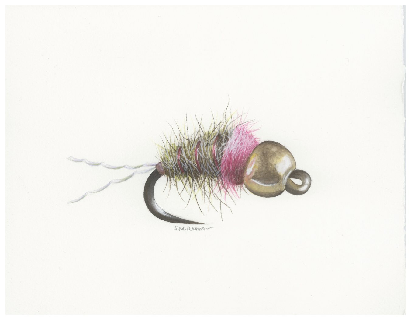 Buy fly fishing art prints, notecards and commissioned original watercolors  — Samantha Aronson