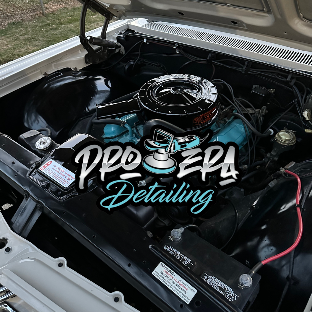 pro-era-detailing-client.png