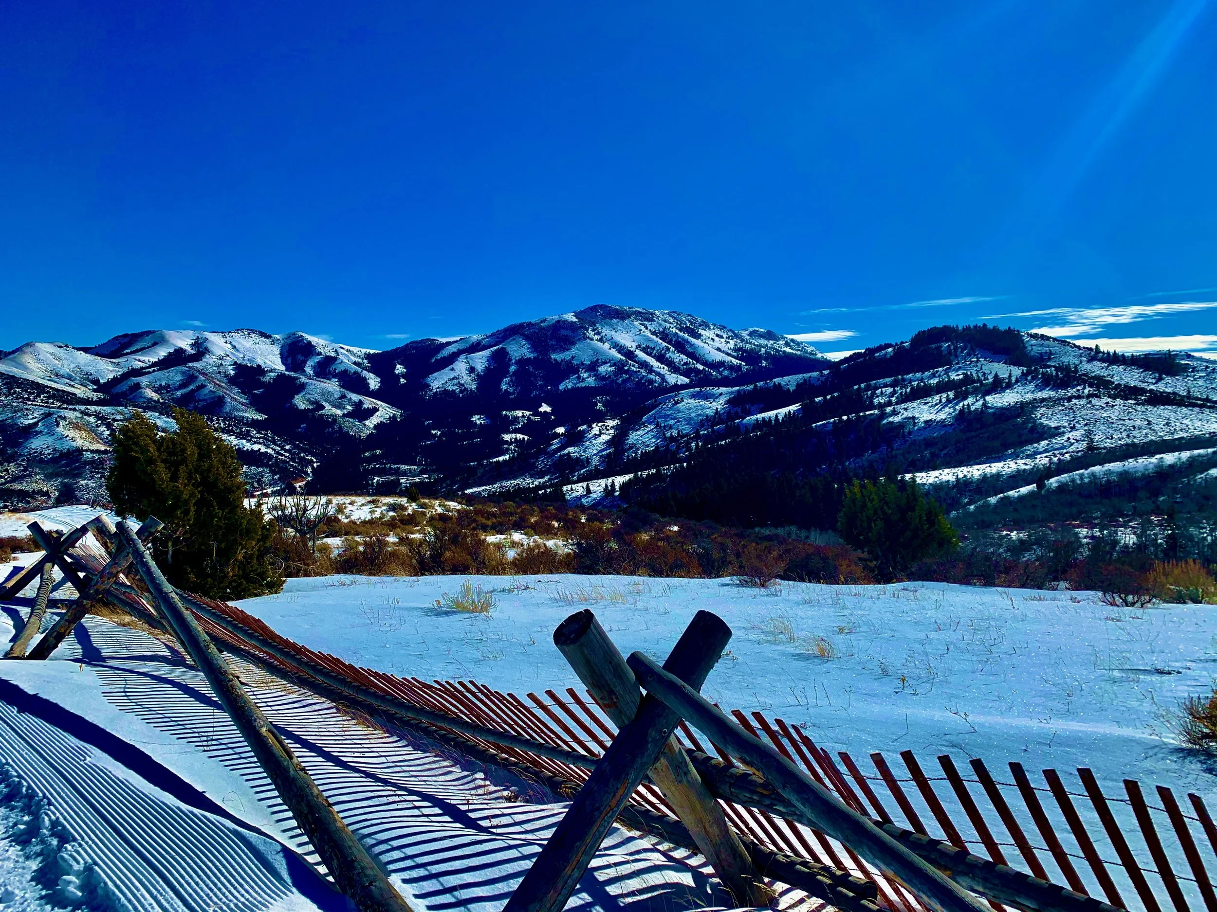 Warm Winter Greetings!