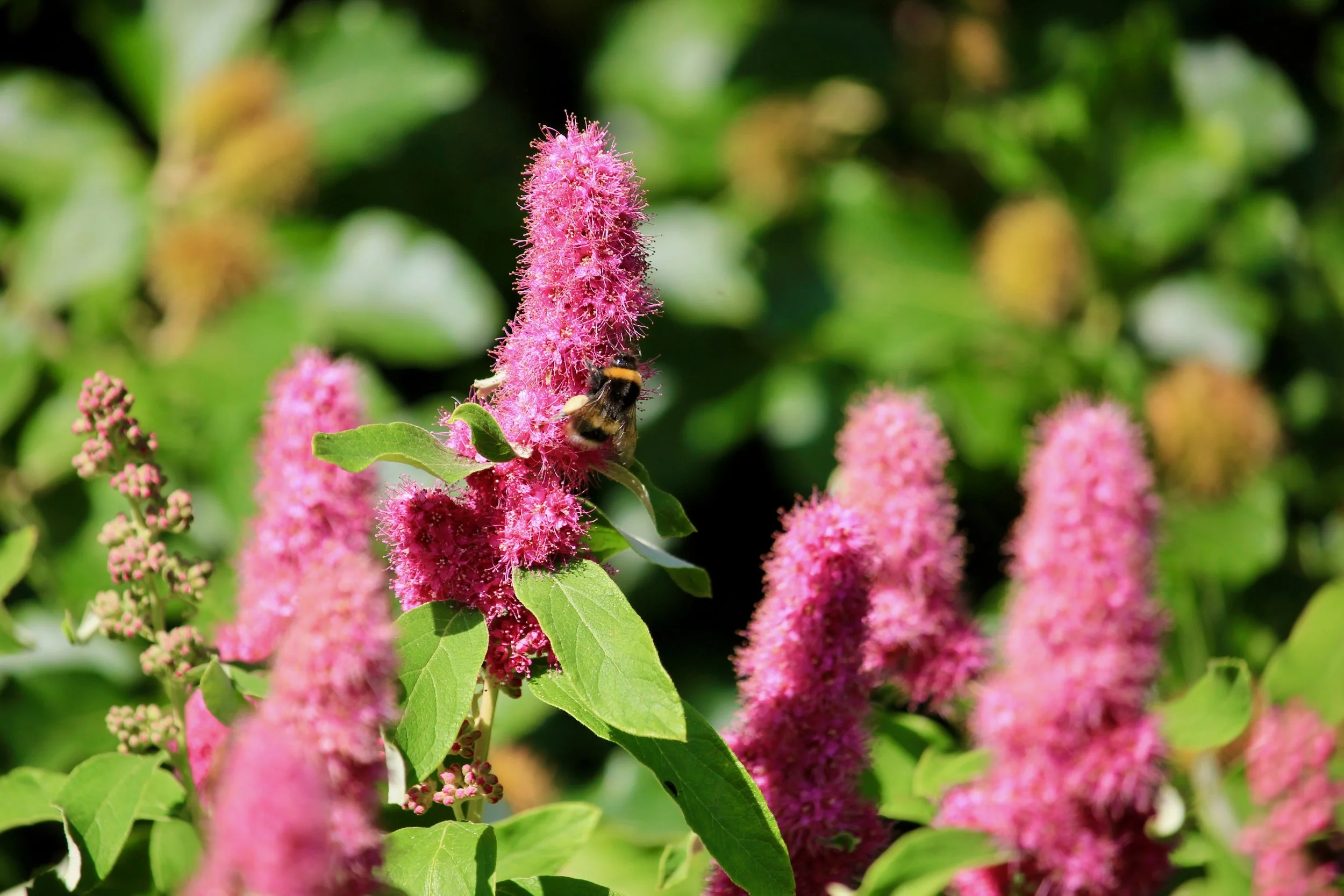 Welcome to Fresh Starts