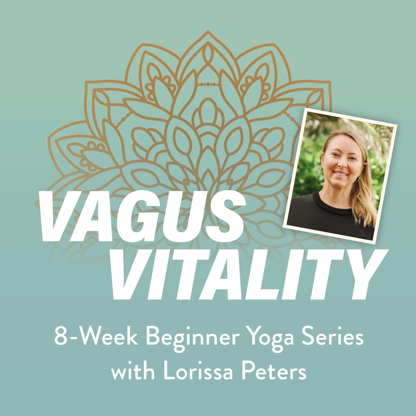 Vagus Vitality 8-week Beginner Yoga Series with Lorissa Peters