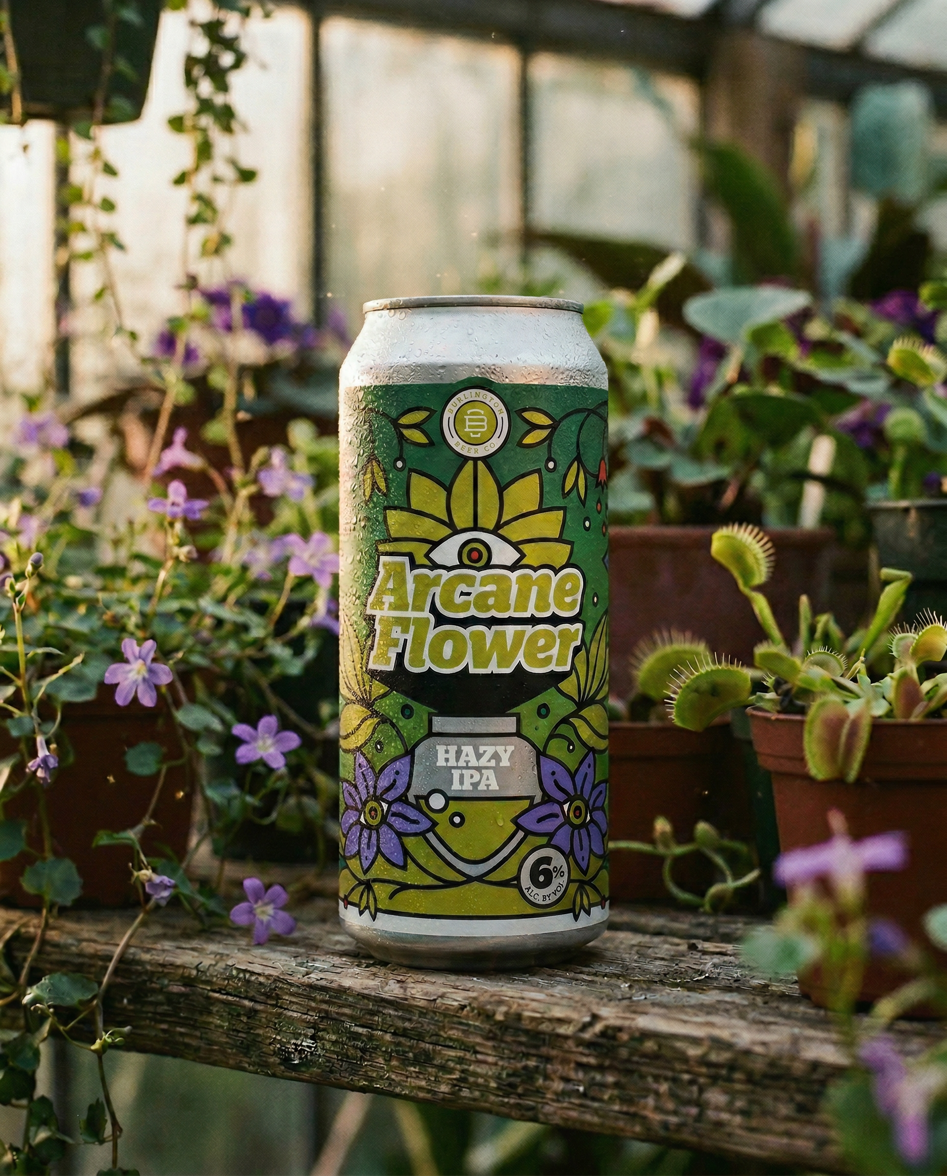 Arcane Flower Hazy IPA can in a greenhouse setting