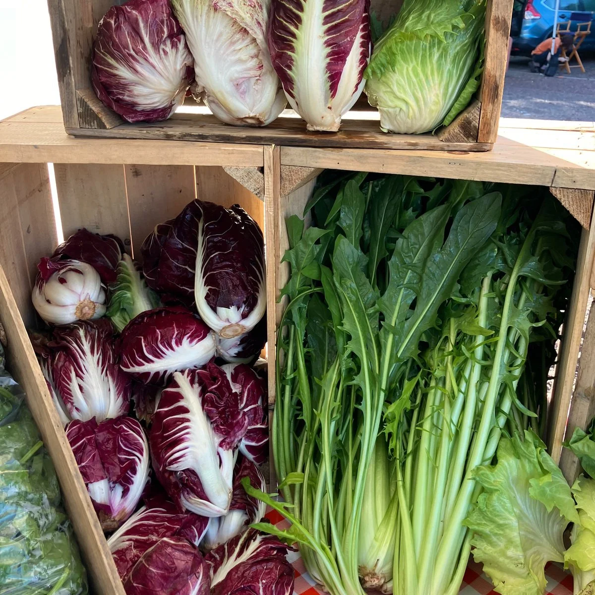 Radicchio and leafy greens displayed in wooden market crates