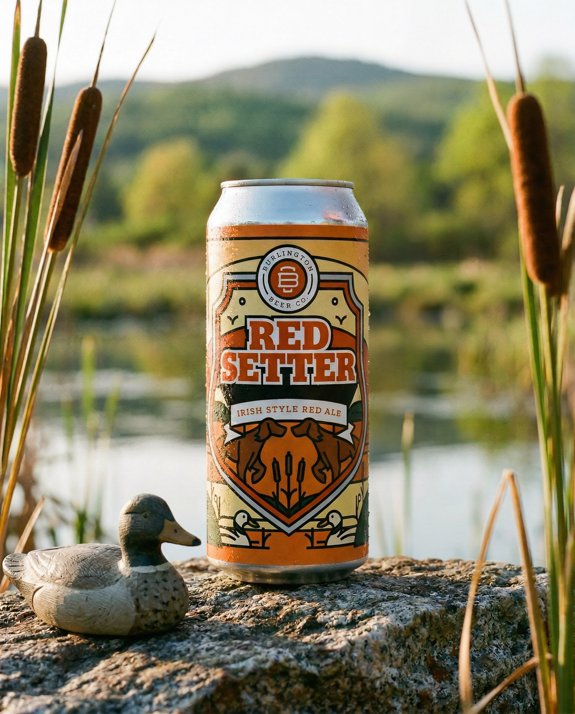Burlington Beer Co. Red Setter Irish-style red ale can beside a lake.