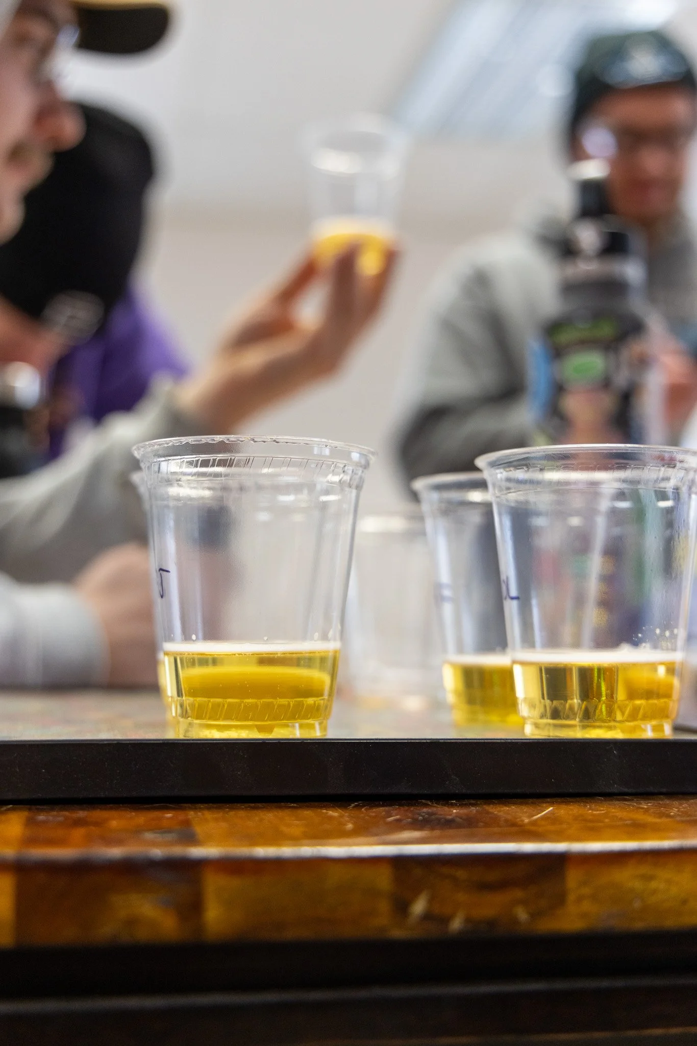 Lager samples on a table during a Burlington Beer Co. tasting session in January 2025.