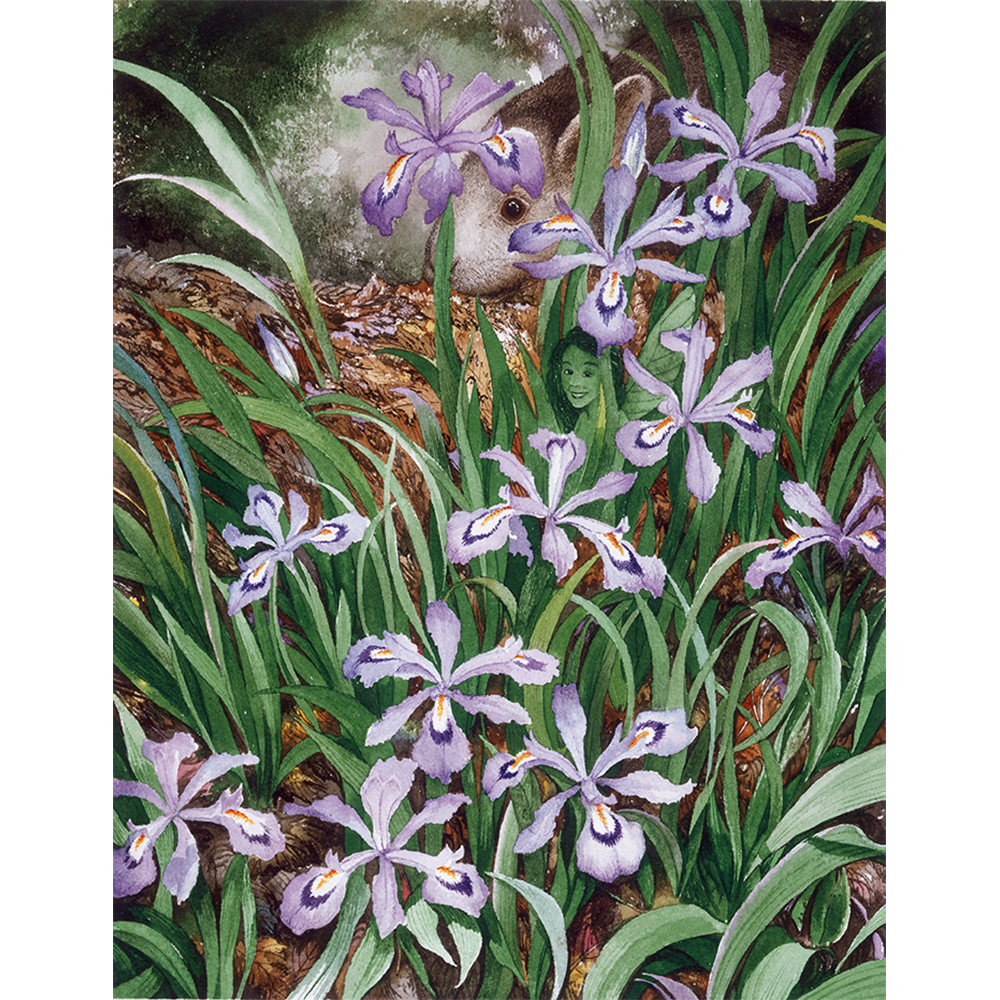 Dwarf Iris Square.png