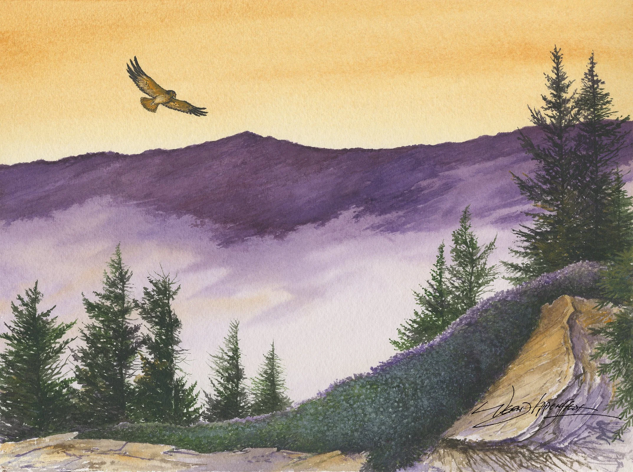 On Top with Mountain Myrtle final copy.jpg