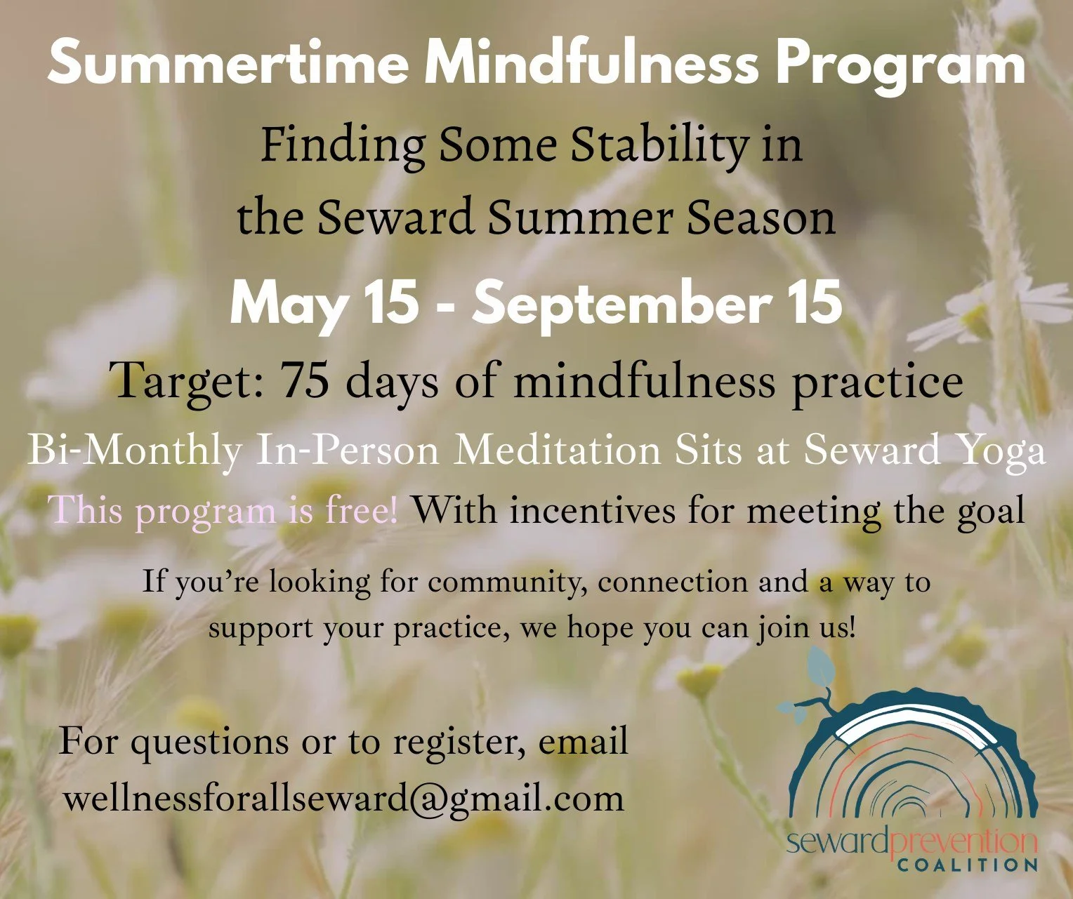 Summer Mindfullness Challenge.jpg