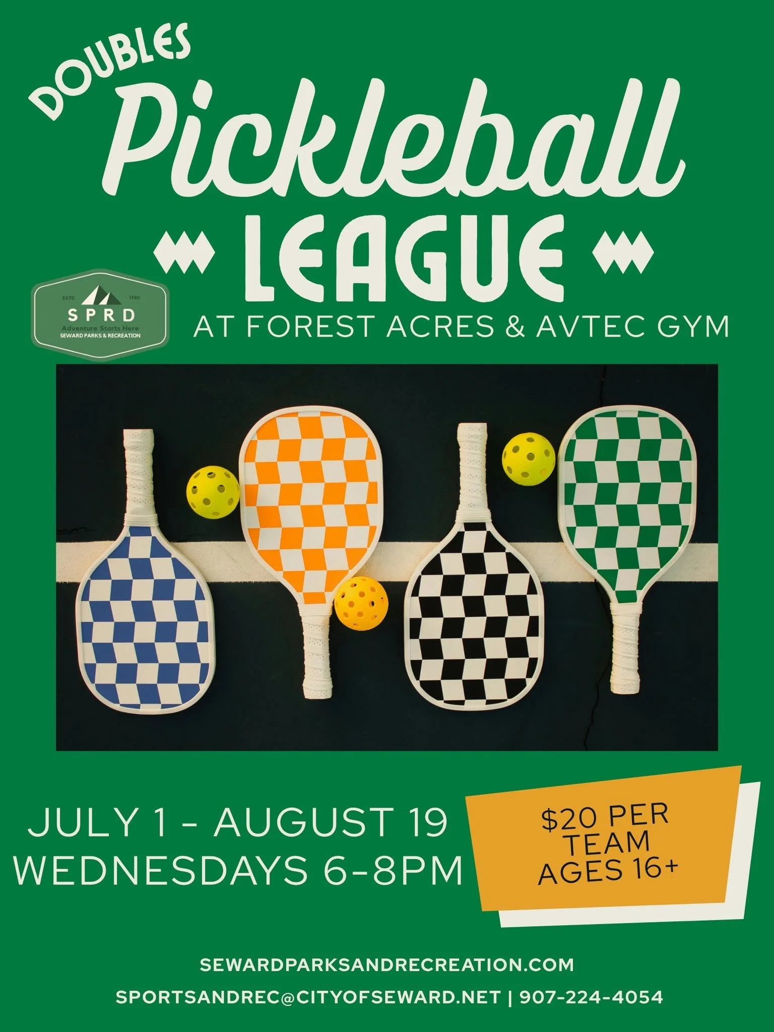 PickleBall League.jpg