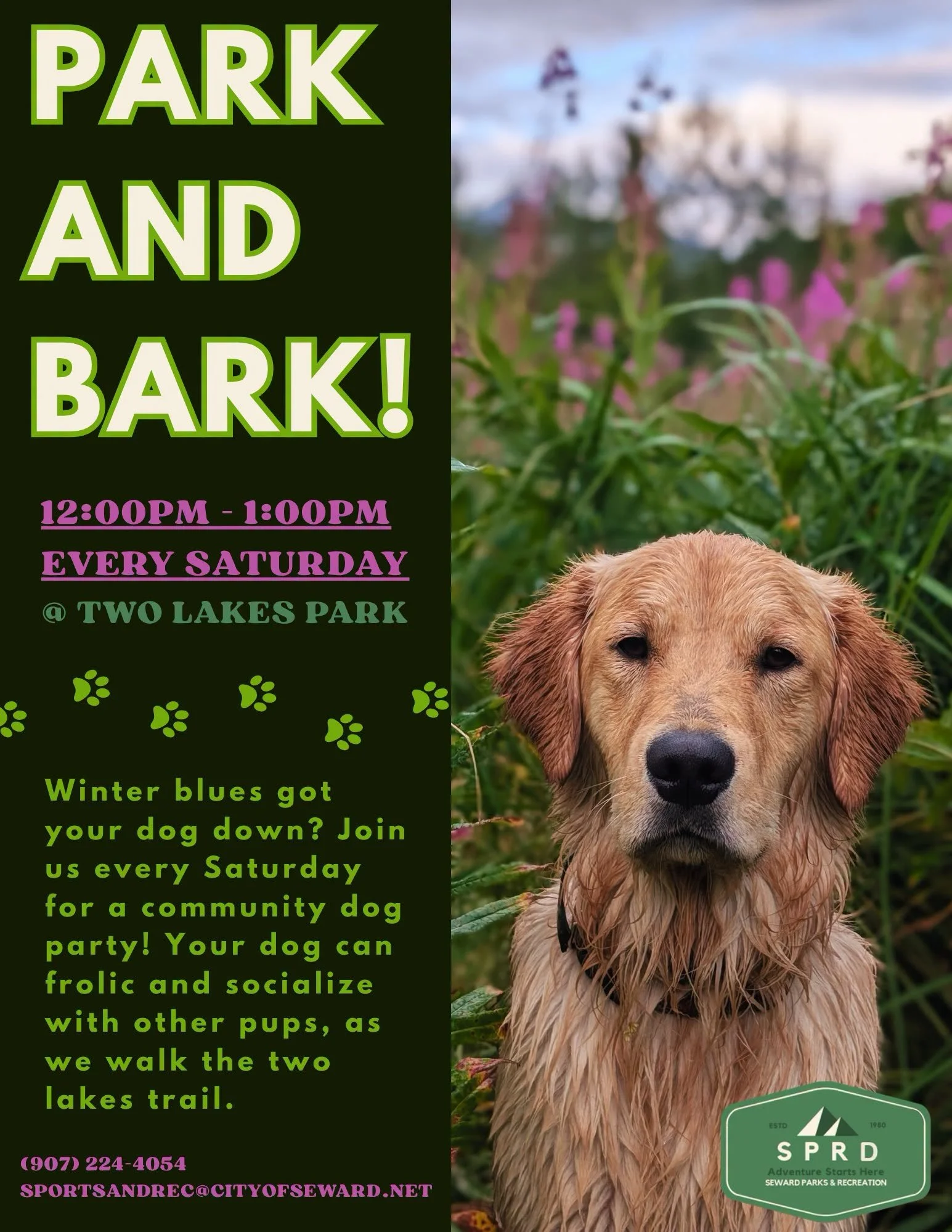 Park and Bark.jpg