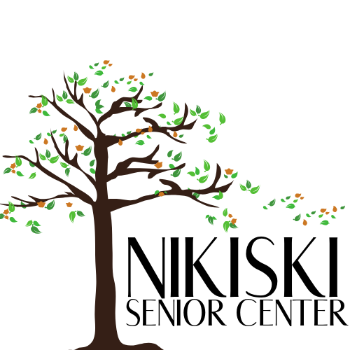 Senior In-Home Program