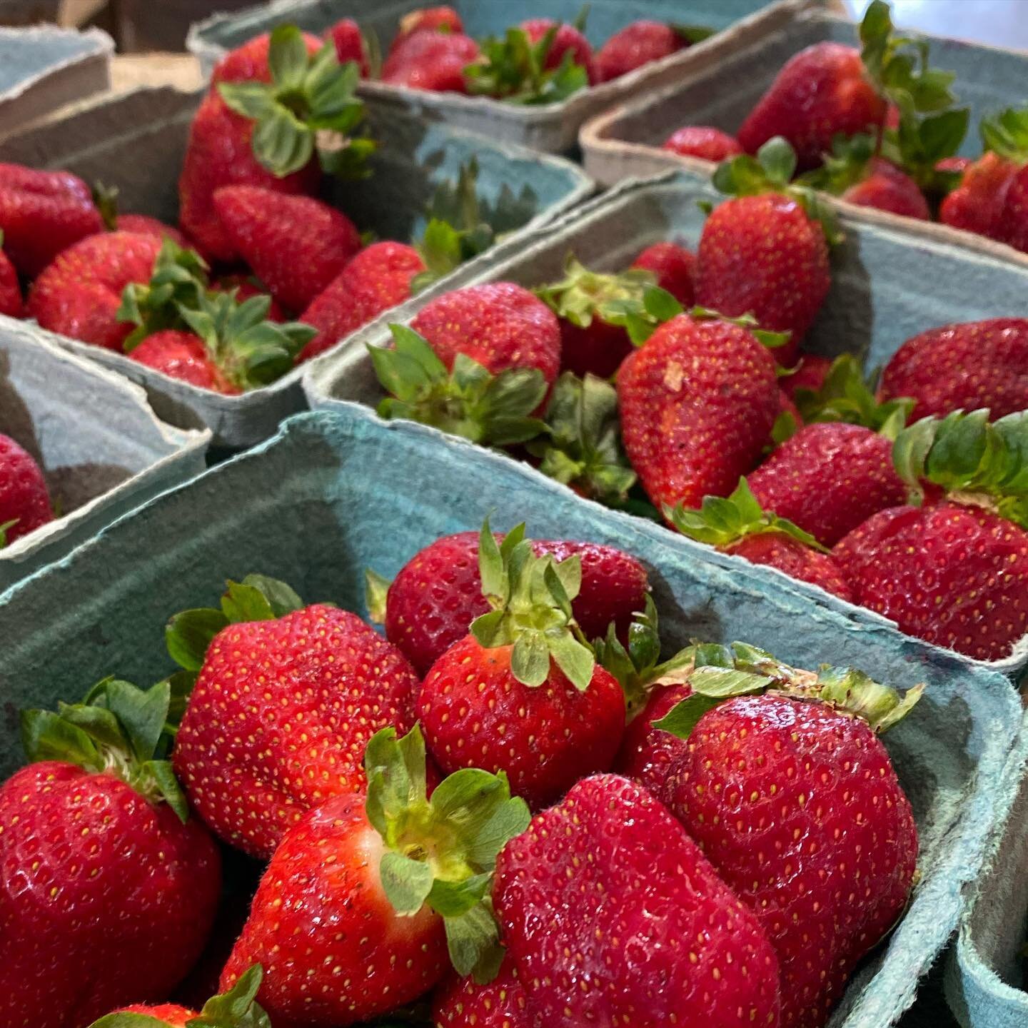 🍓🍓Strawberries are back in today! 

#gatherinspirecultivategrow