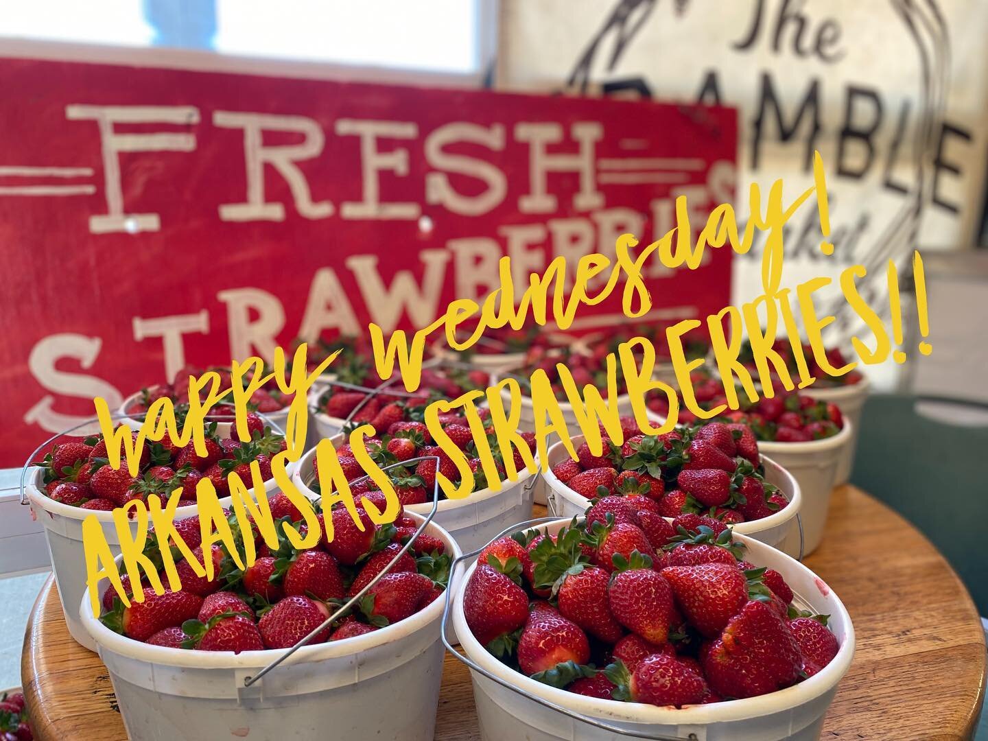 🍓🍓Arkansas Strawberries! #goingstrong #gatherinspirecultivategrow #supportlocal #arkansasfarms #strawberries🍓 #arkansas