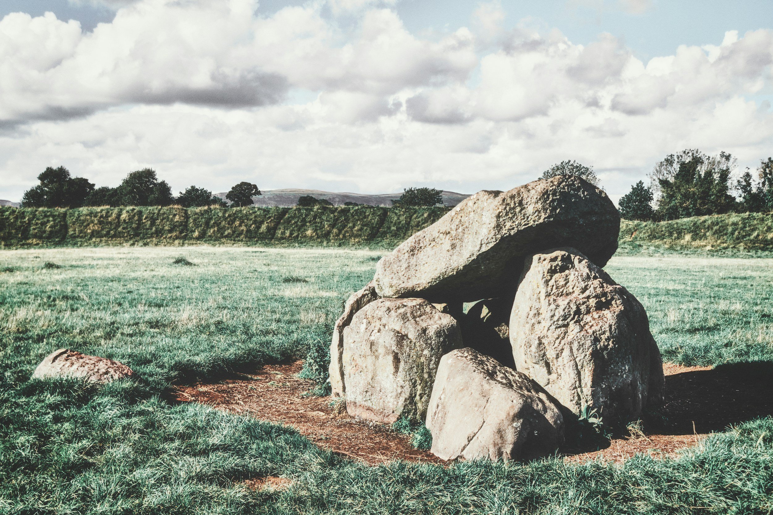 Grow Guide | March 8, 2026