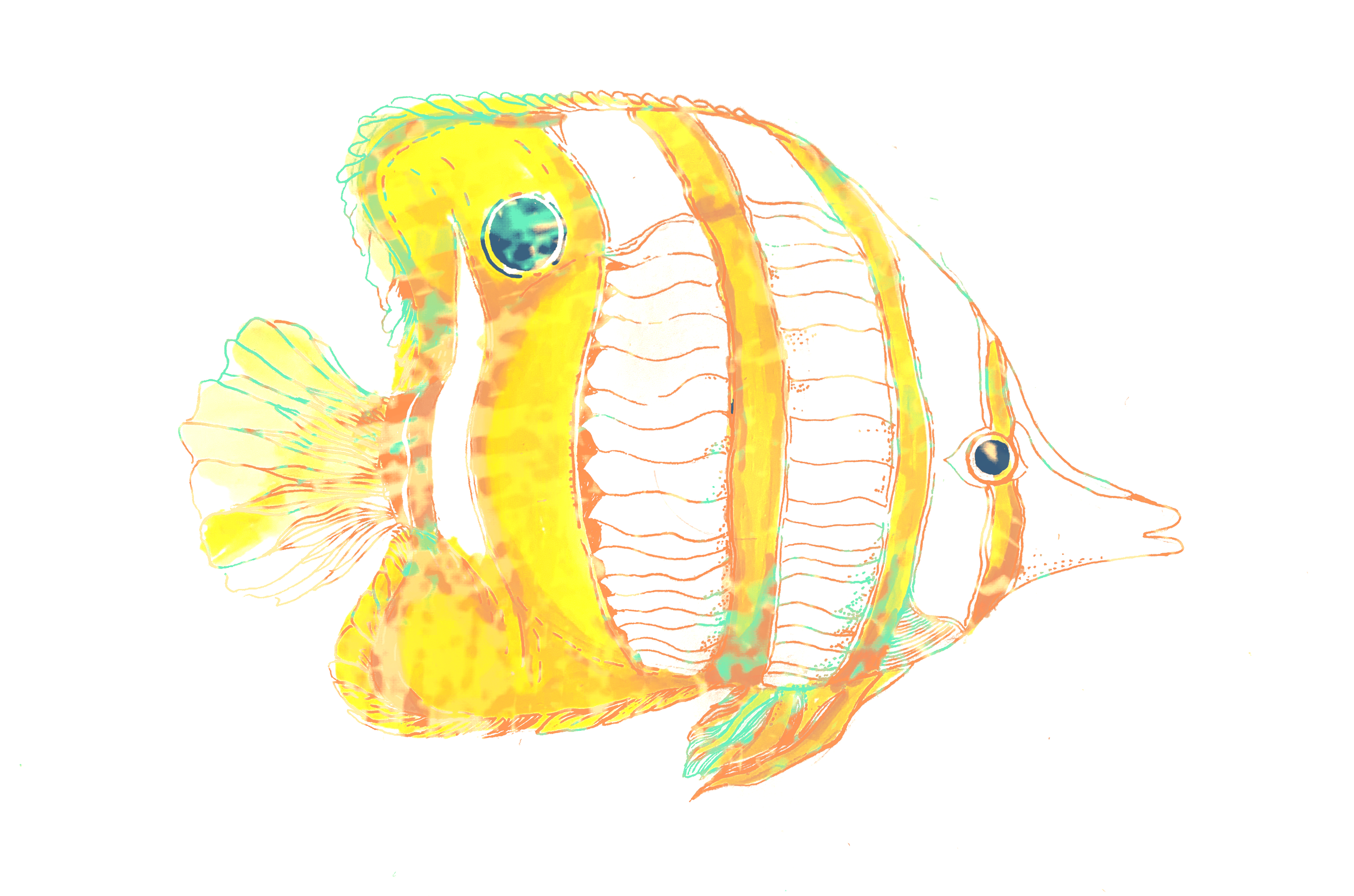 IMG_6629.png