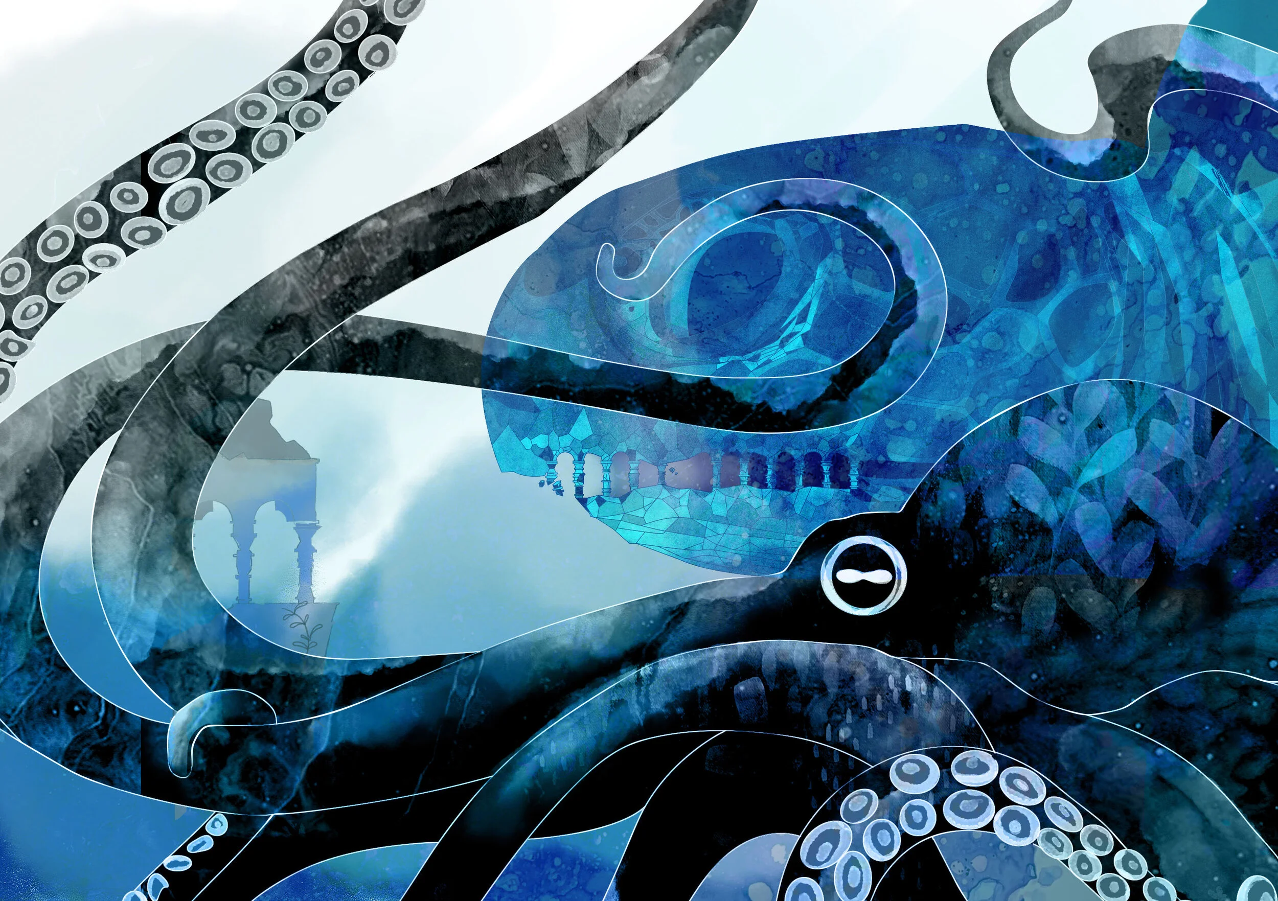 turt octo 2.jpg