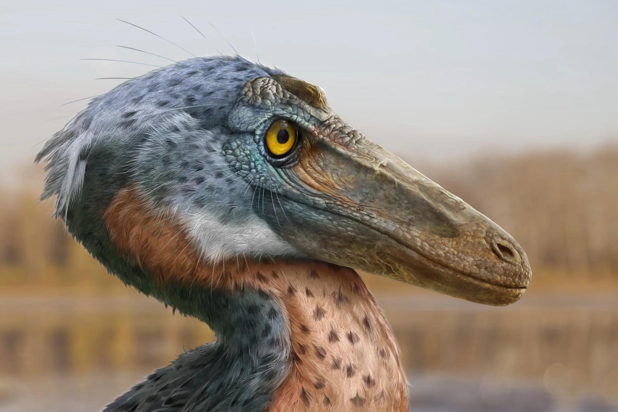 A Dome-Headed Troodontid From the Late Cretaceous of Coahuila, Mexico