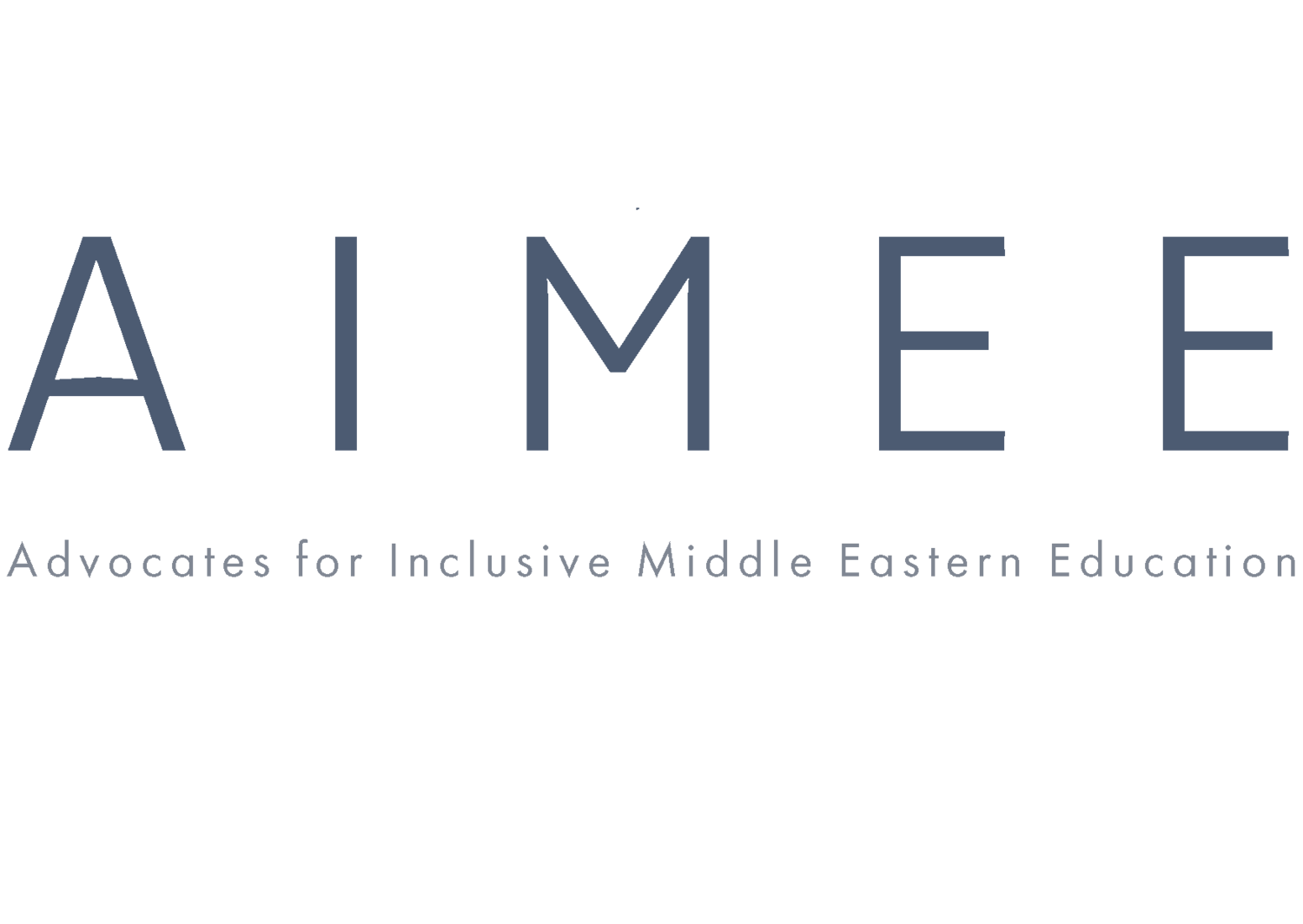 Advocates for Inclusive Middle Eastern Education