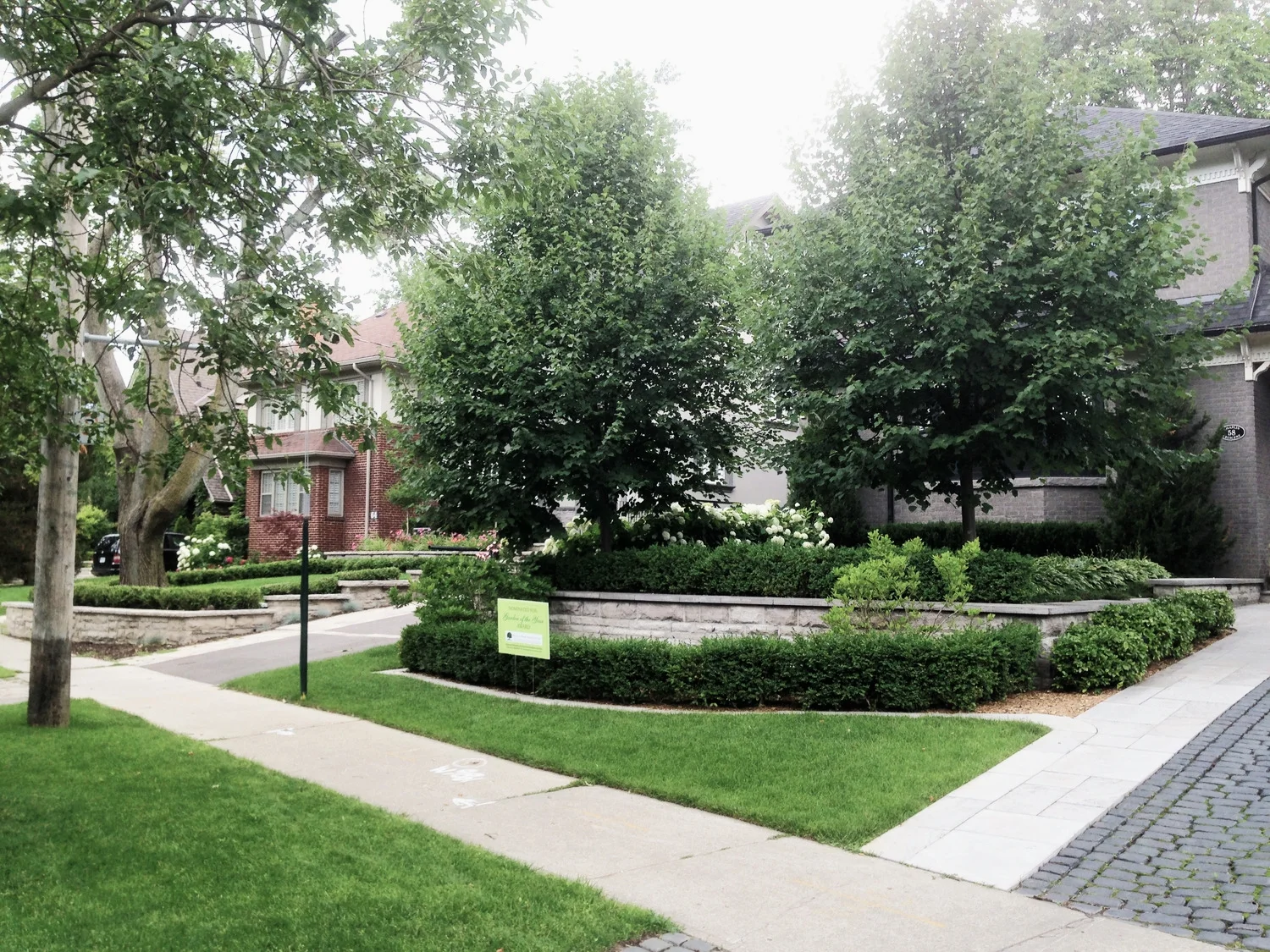 5 years later and our garden is still looking great on Chaplin Crescent!