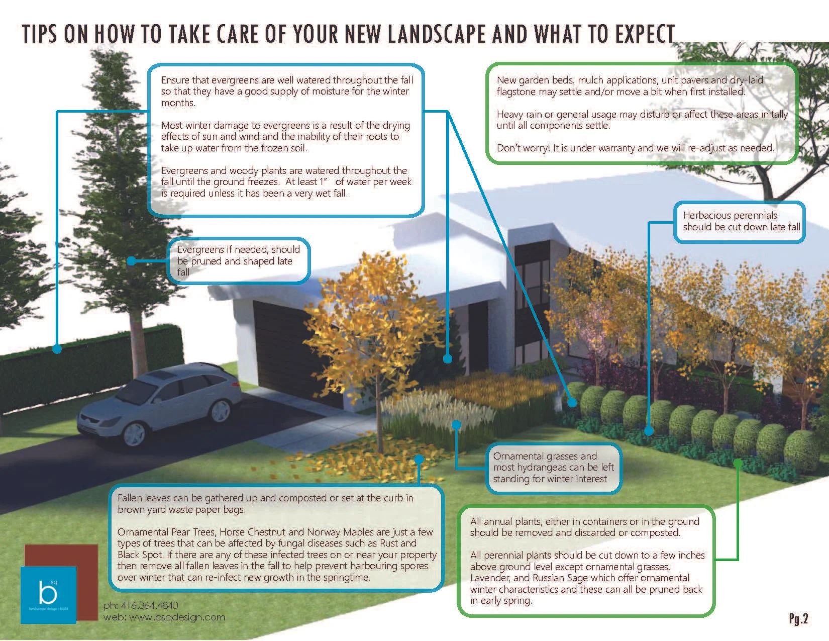 Tips for maintaining your new and existing landscape through the fall and winter