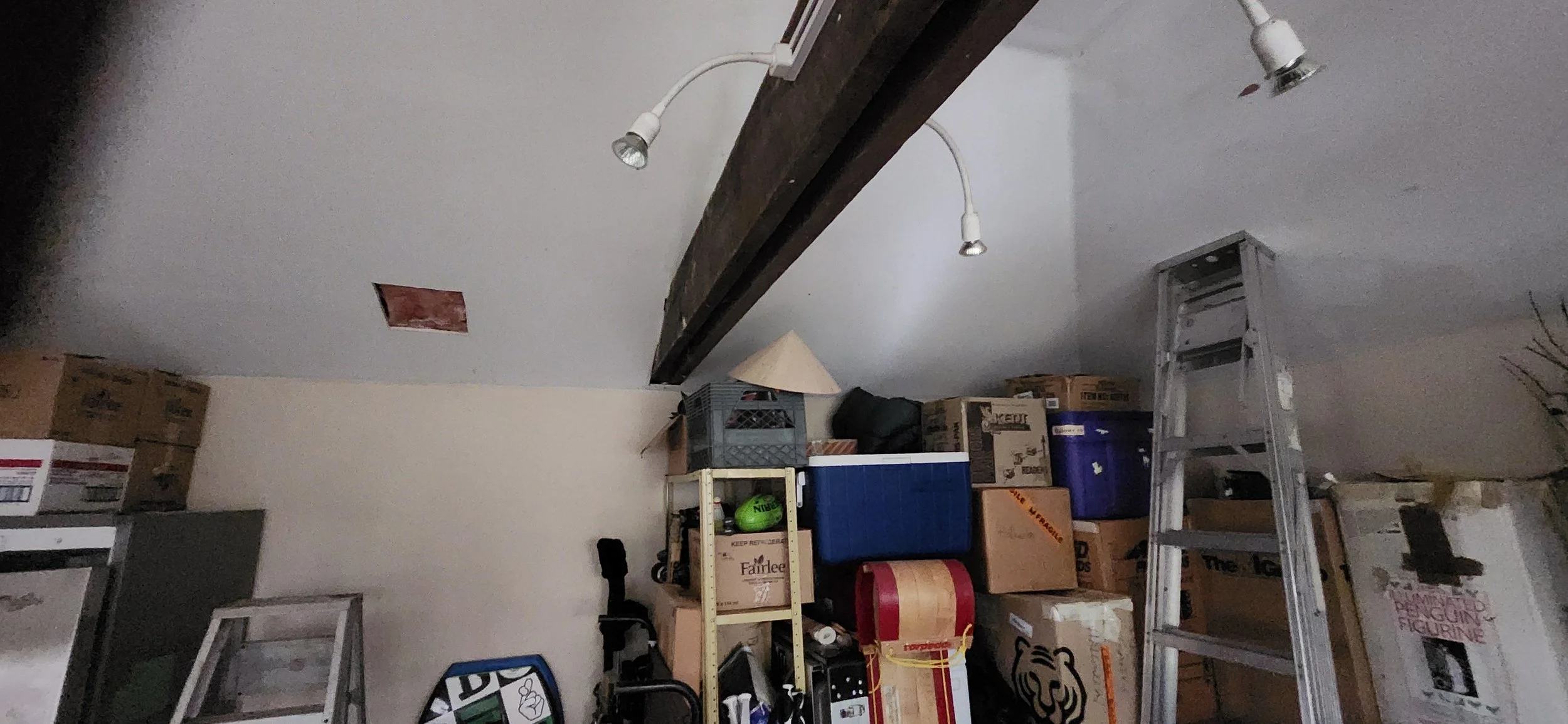 20250717_092438.jpg