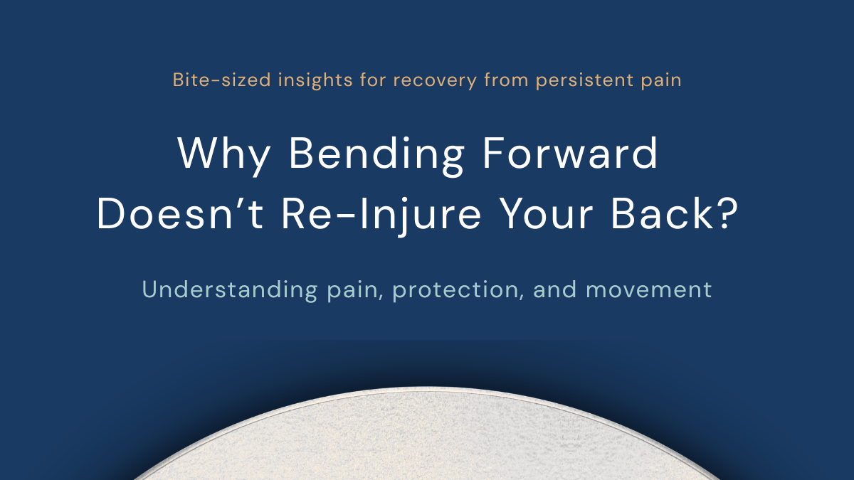 Why Bending Forward Doesn’t Re-Injure Your Back