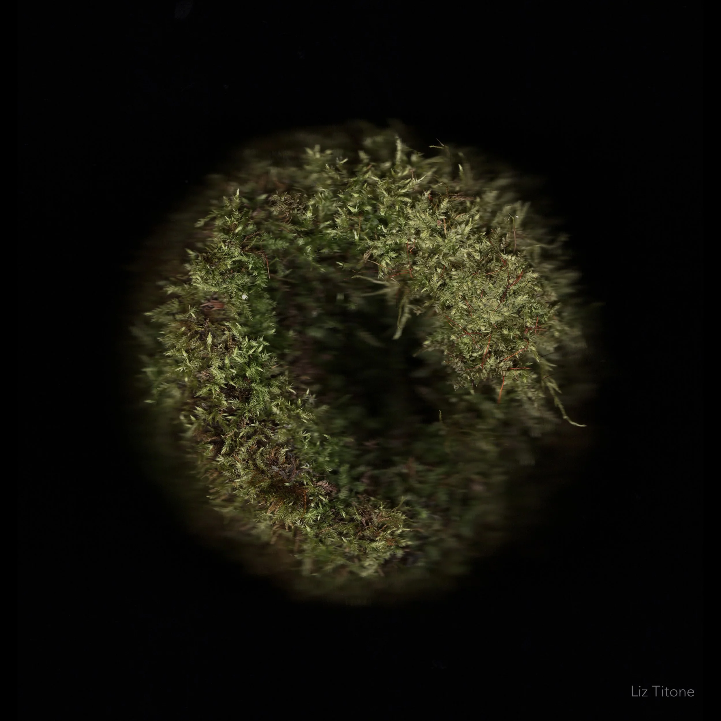 Titone - Faculty 24 - stills - 2 copy.jpg