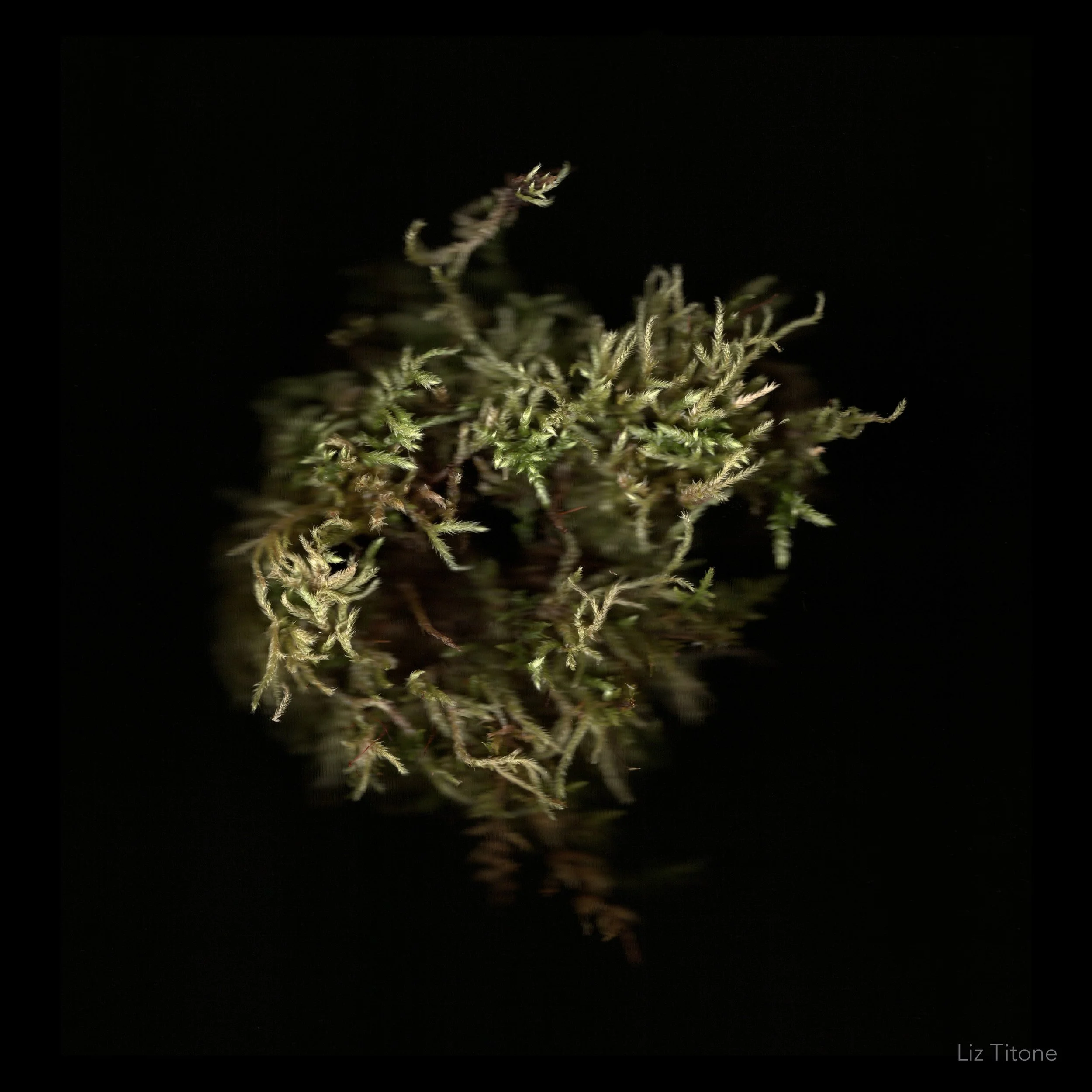 Titone - Faculty 24 - stills - 8 copy.jpg